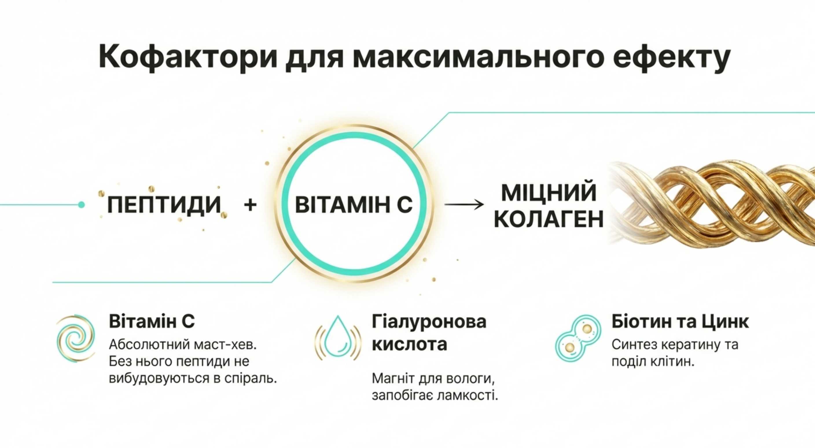Синергія компонентів - кофактори для максимального результату