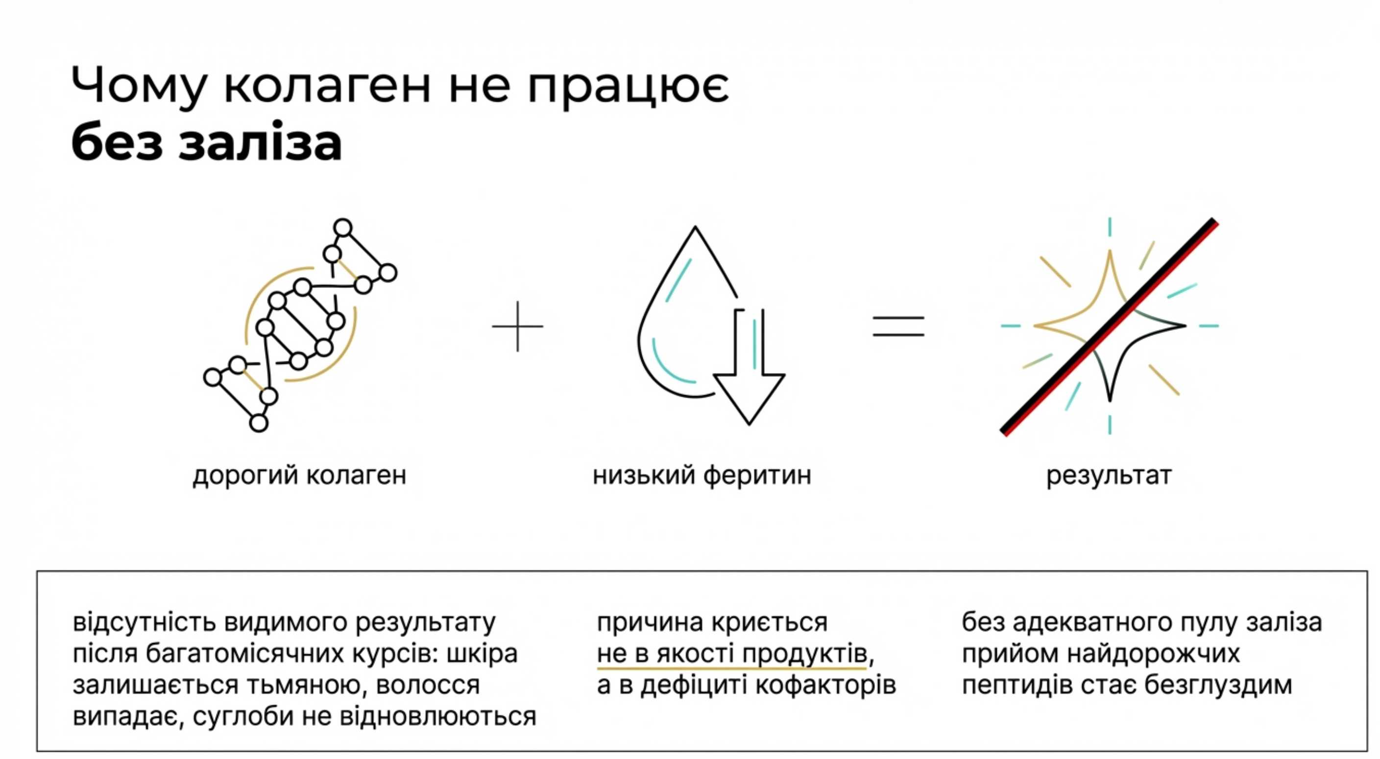 Біохімія процесу. Чому коллаген не працює без заліза