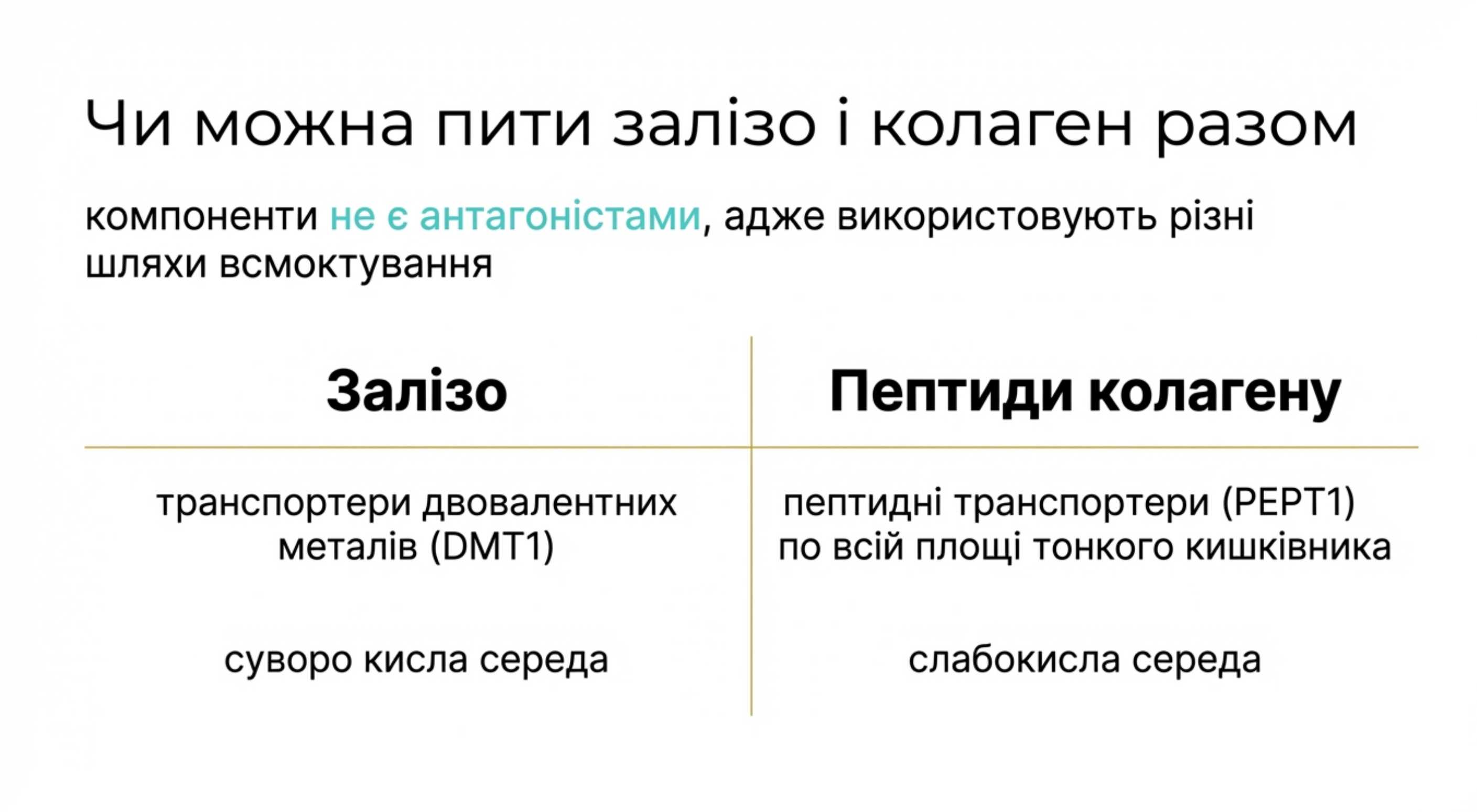 Механізми засвоєння. Чи можна пити залізо і коллаген разом