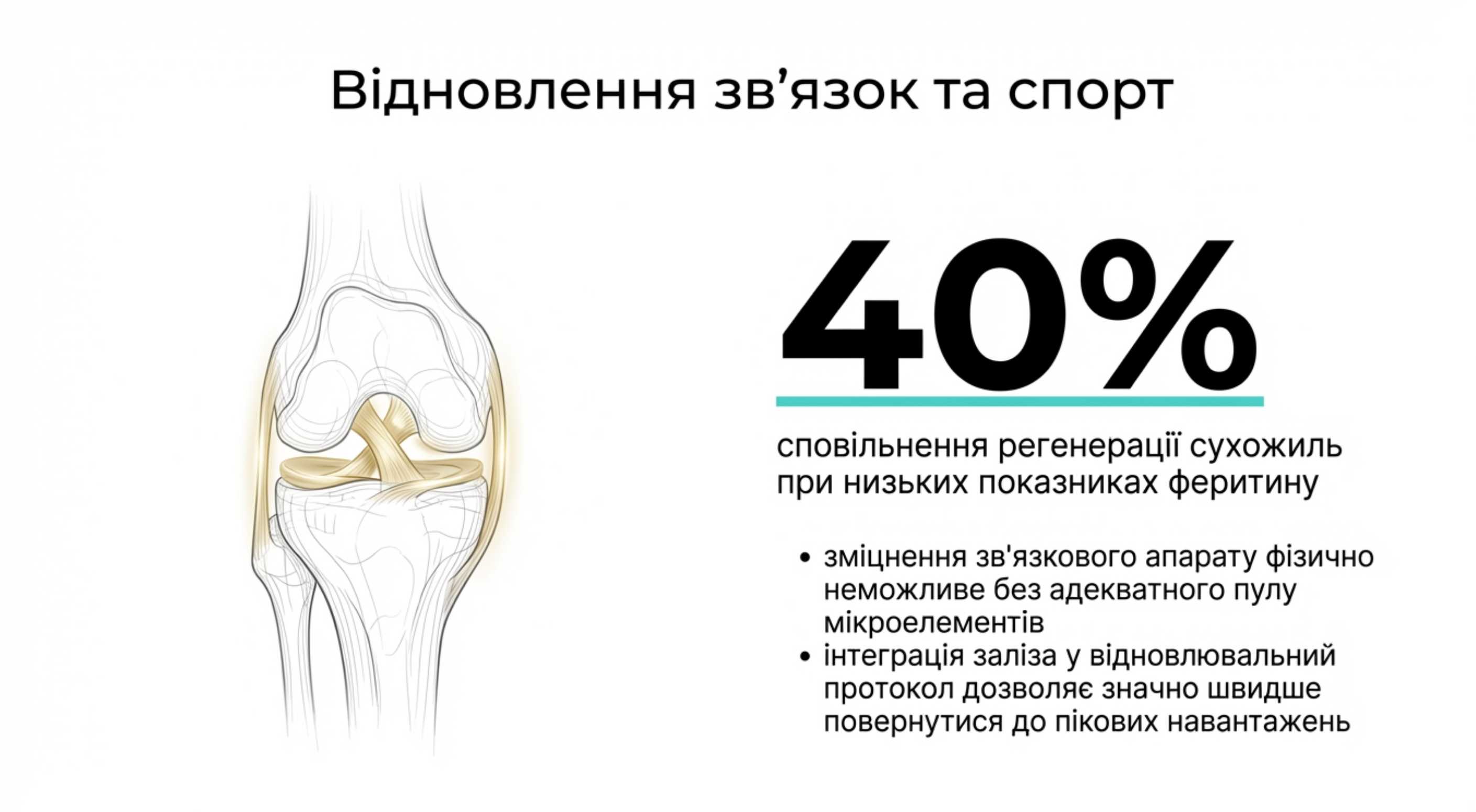 2. Спортивна реабілітація та відновлення зв'язок