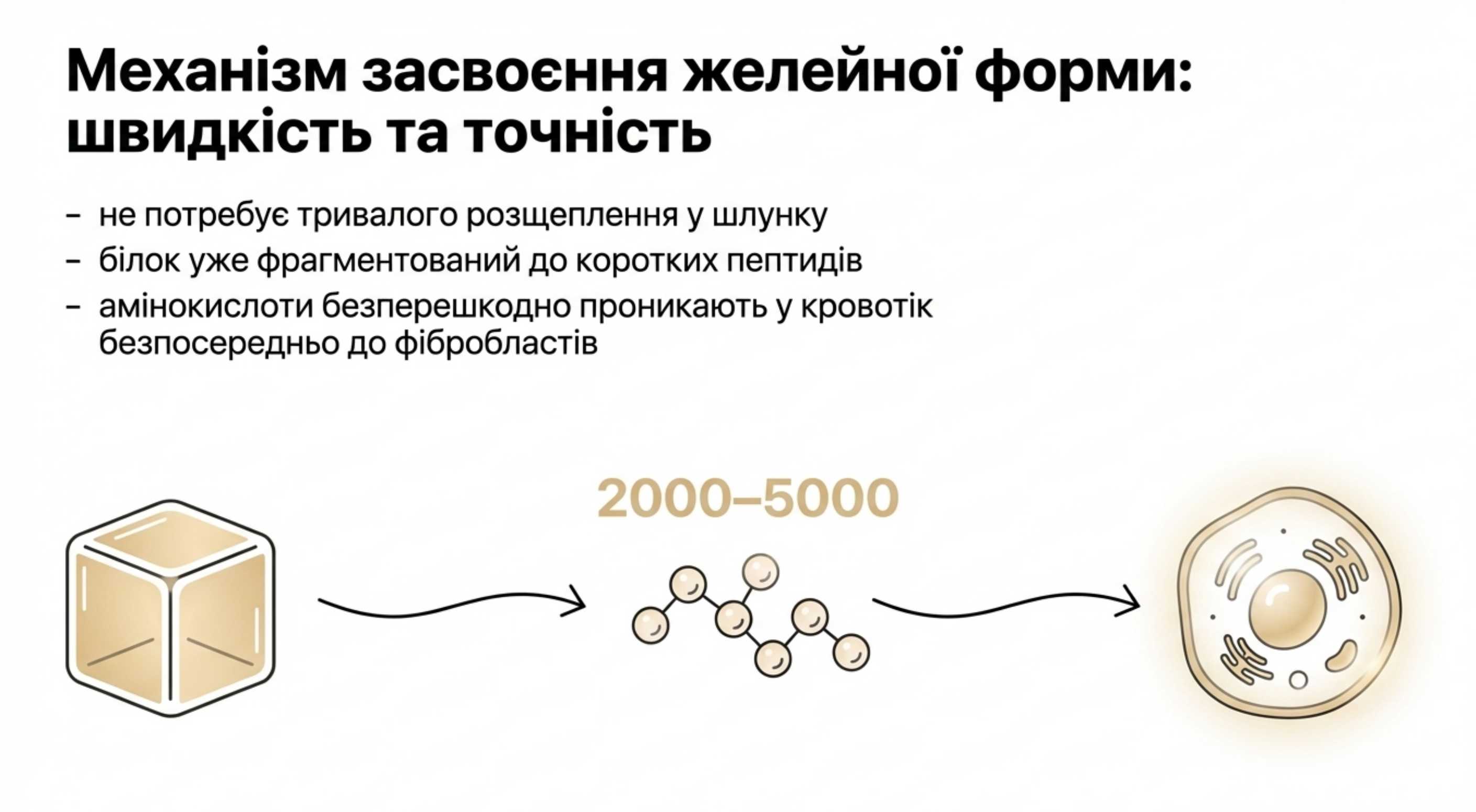 Механізм засвоєння желейної форми
