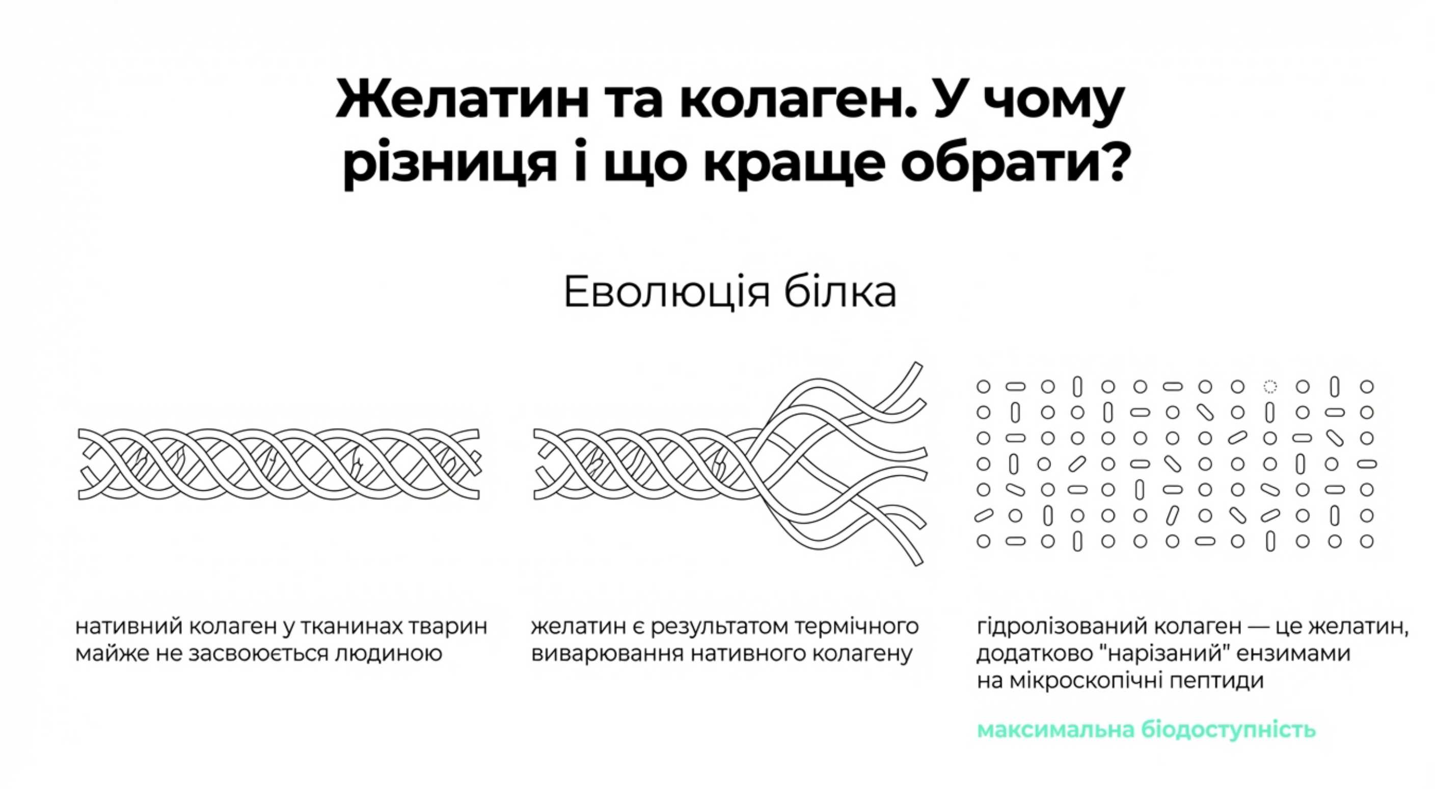 Желатин і колаген. У чому різниця і що краще вибрати?