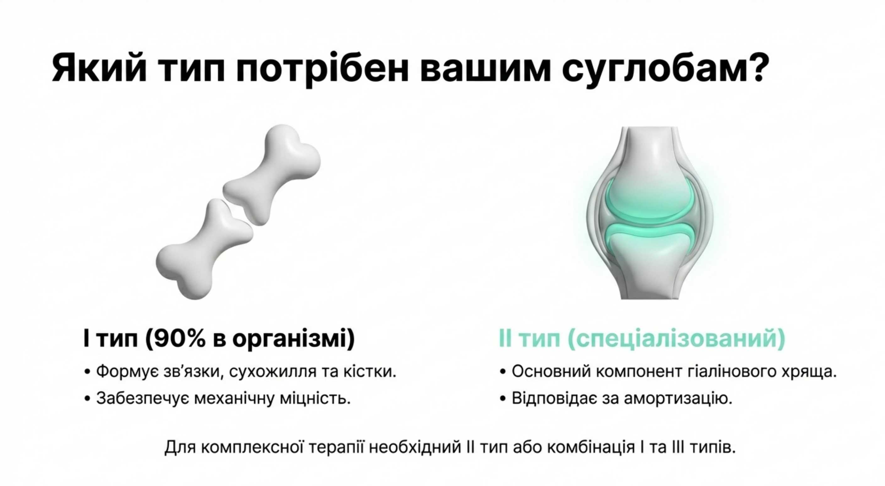 Типи коллагена. Чому це важливо для опорно-рухового апарату