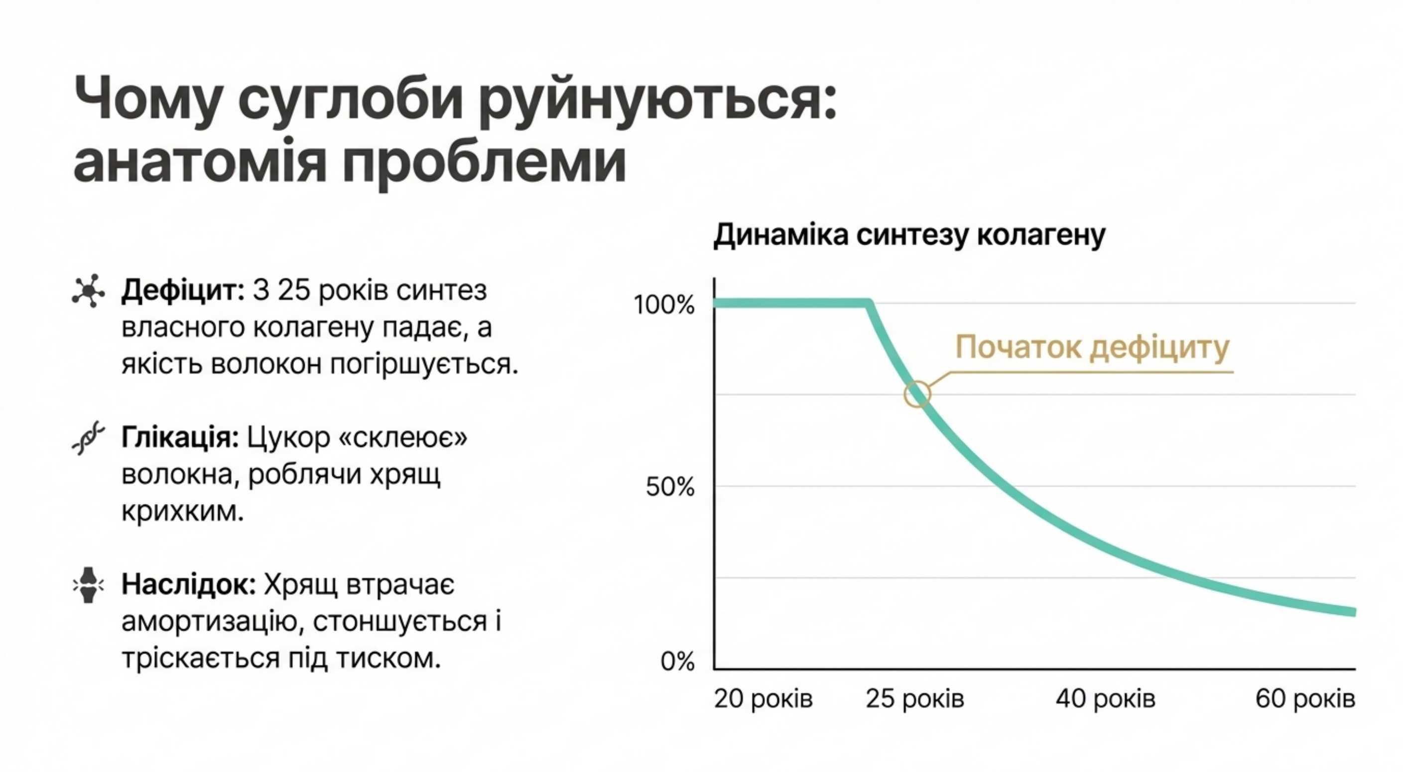 Анатомія проблеми. Чому суглоби руйнуються і при чому тут білок