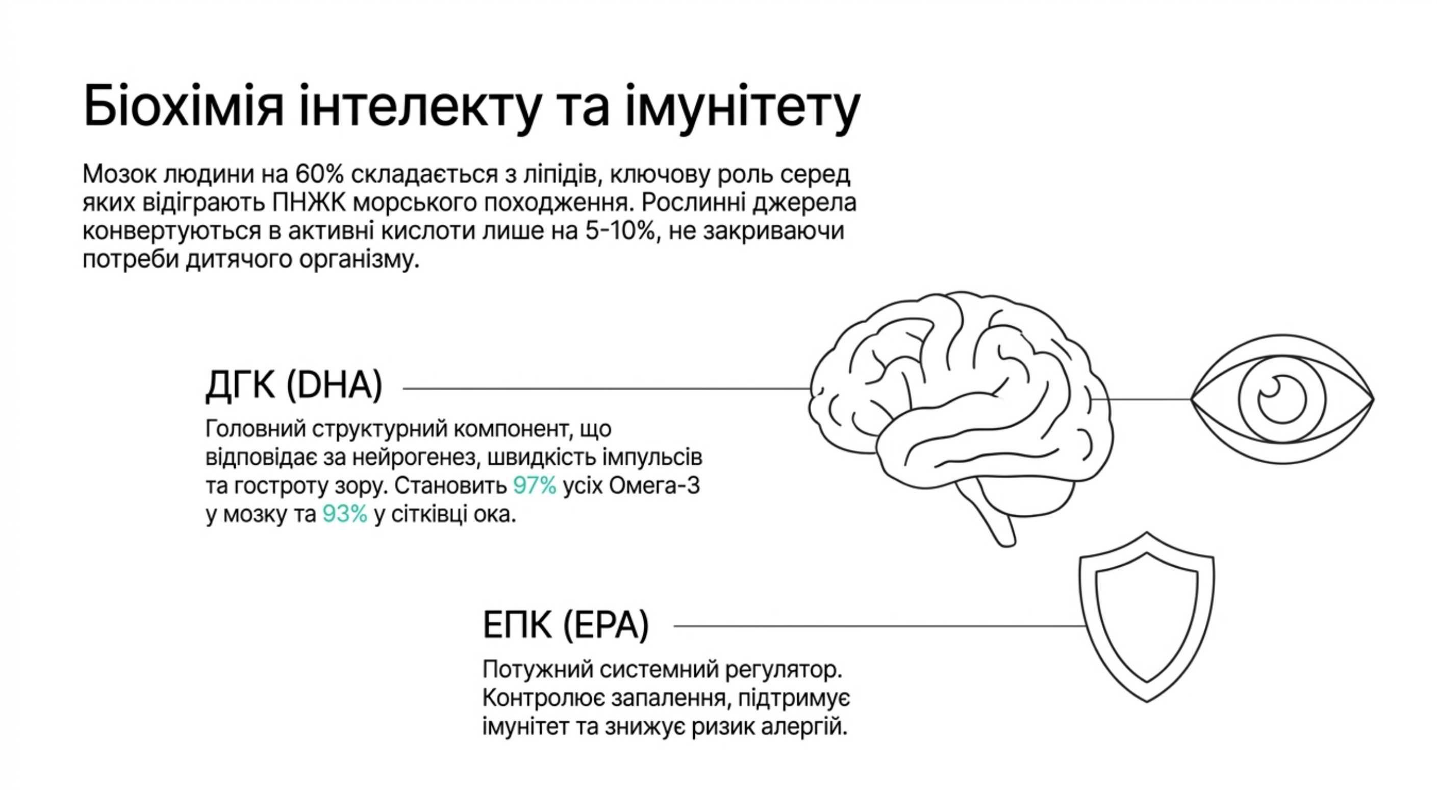 Біологічна роль ПНЖК. Чому без них неможливий повноцінний розвиток?