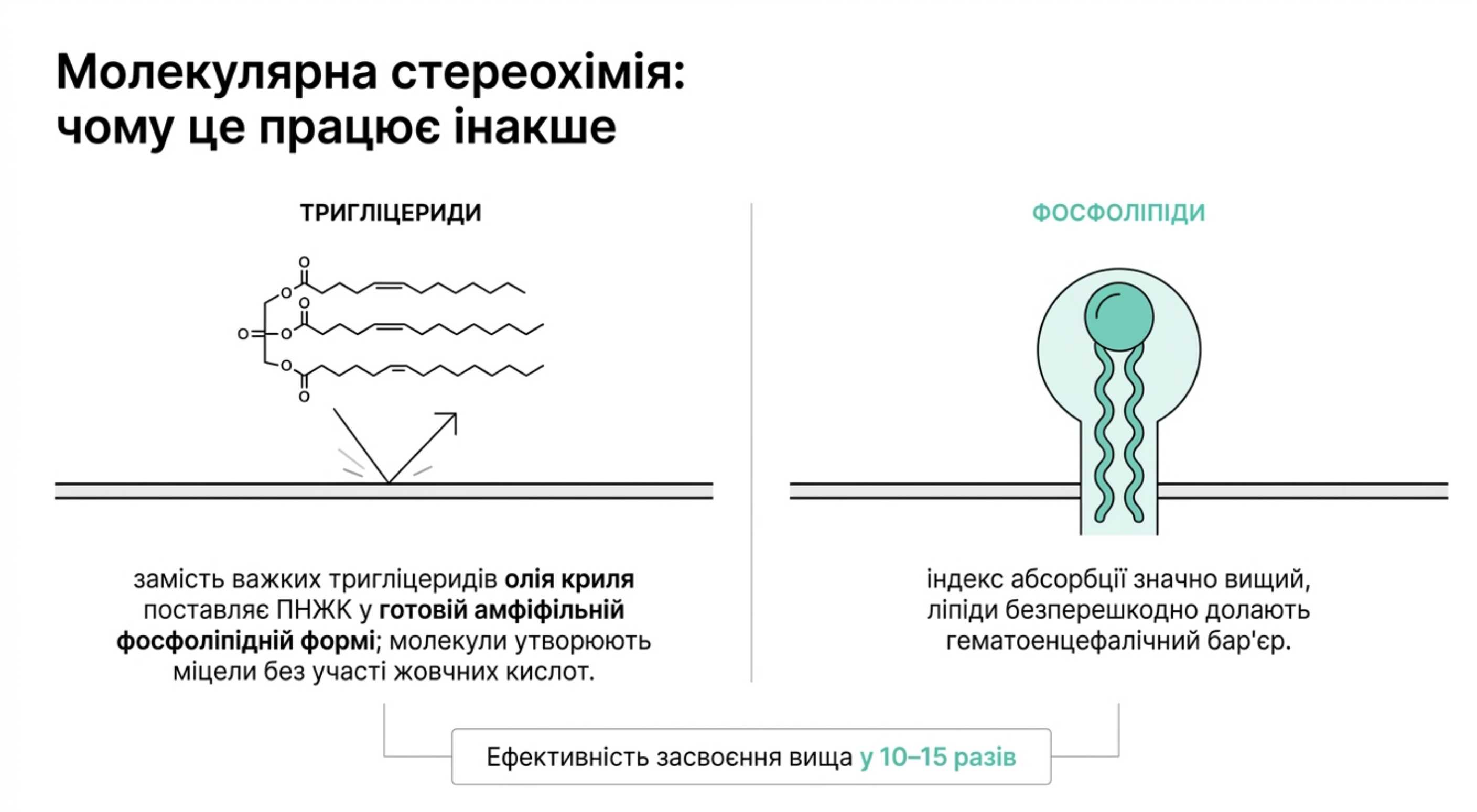 Молекулярна стереохімія. Чому омега 3 крилевий жир працює інакше?