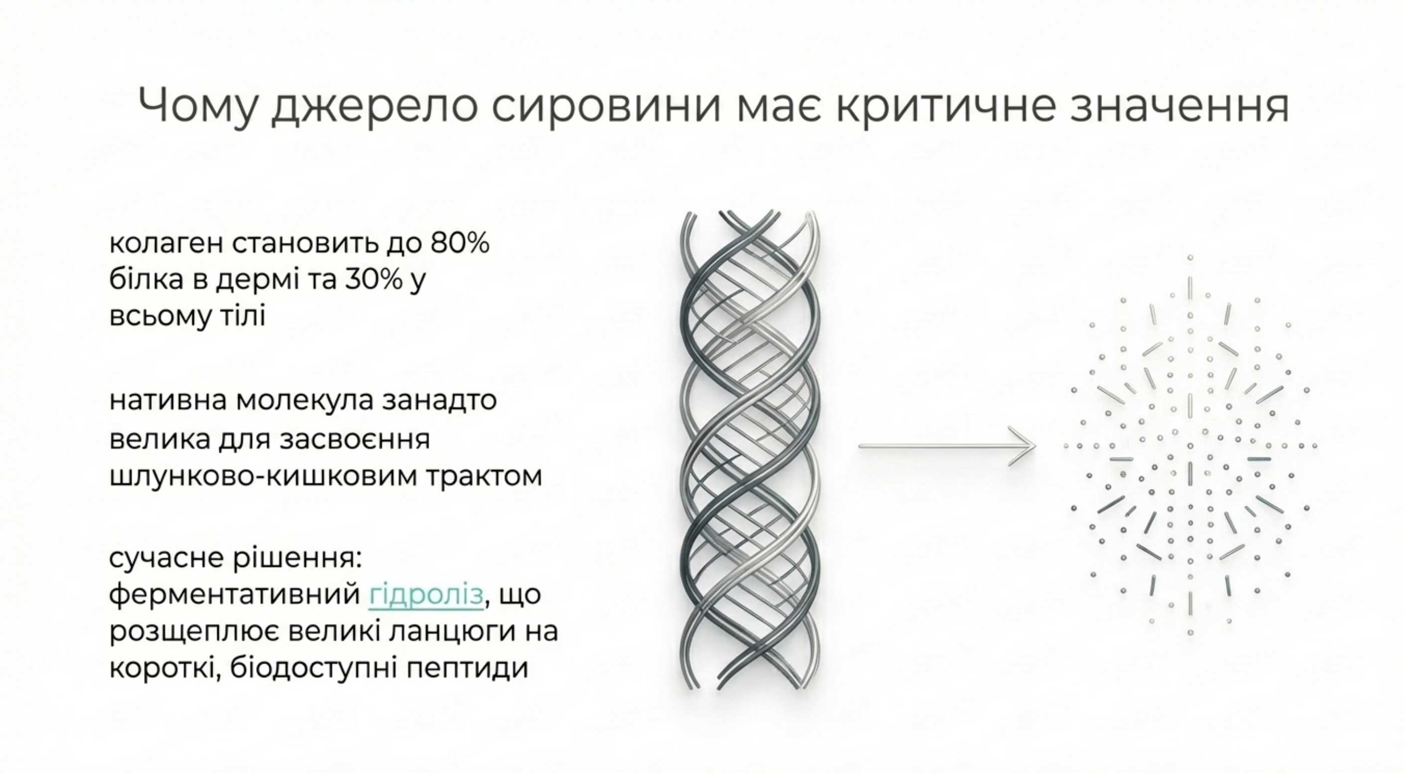 Біохімія білка. Чому джерело сировини має критичне значення