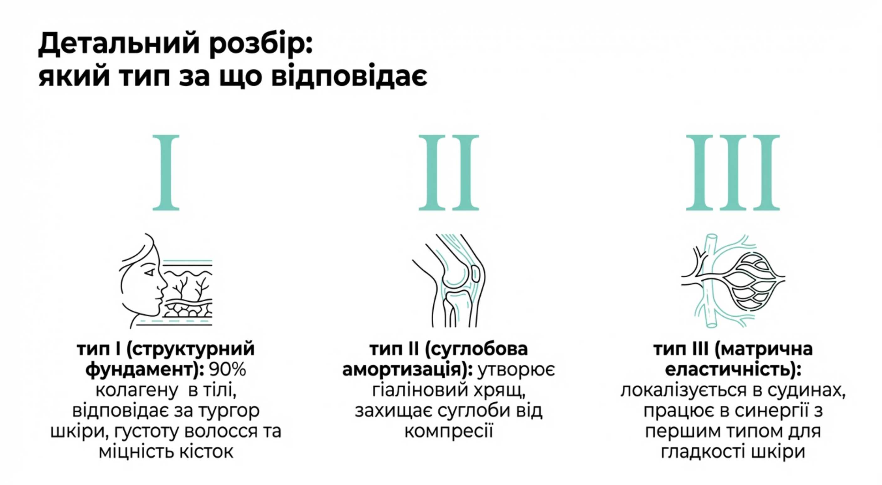Детальний розбір. Морський колаген якого типу за що відповідає?
