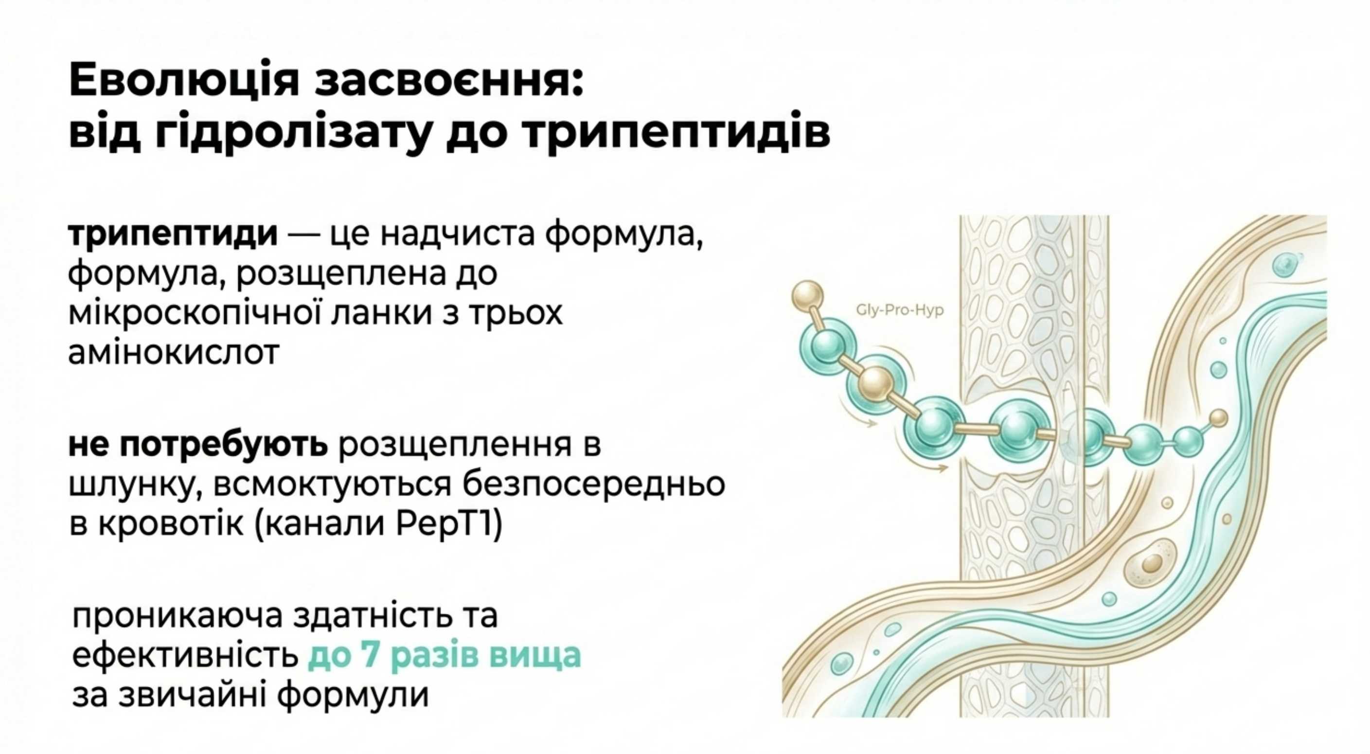 Інновації ринку. Від гідролізату до трипептидів