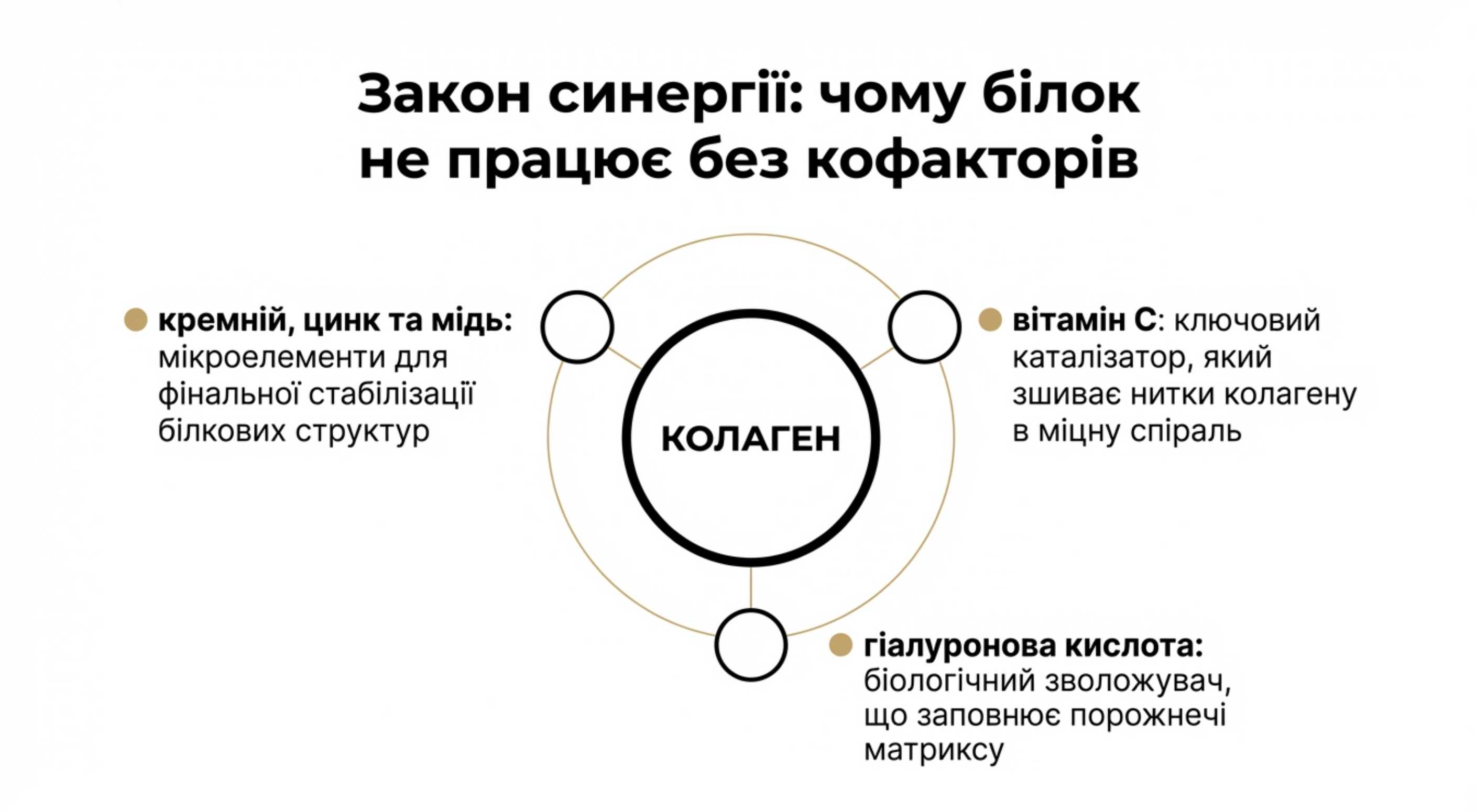 Закон синергії. Чому колаген не працює без кофакторів?