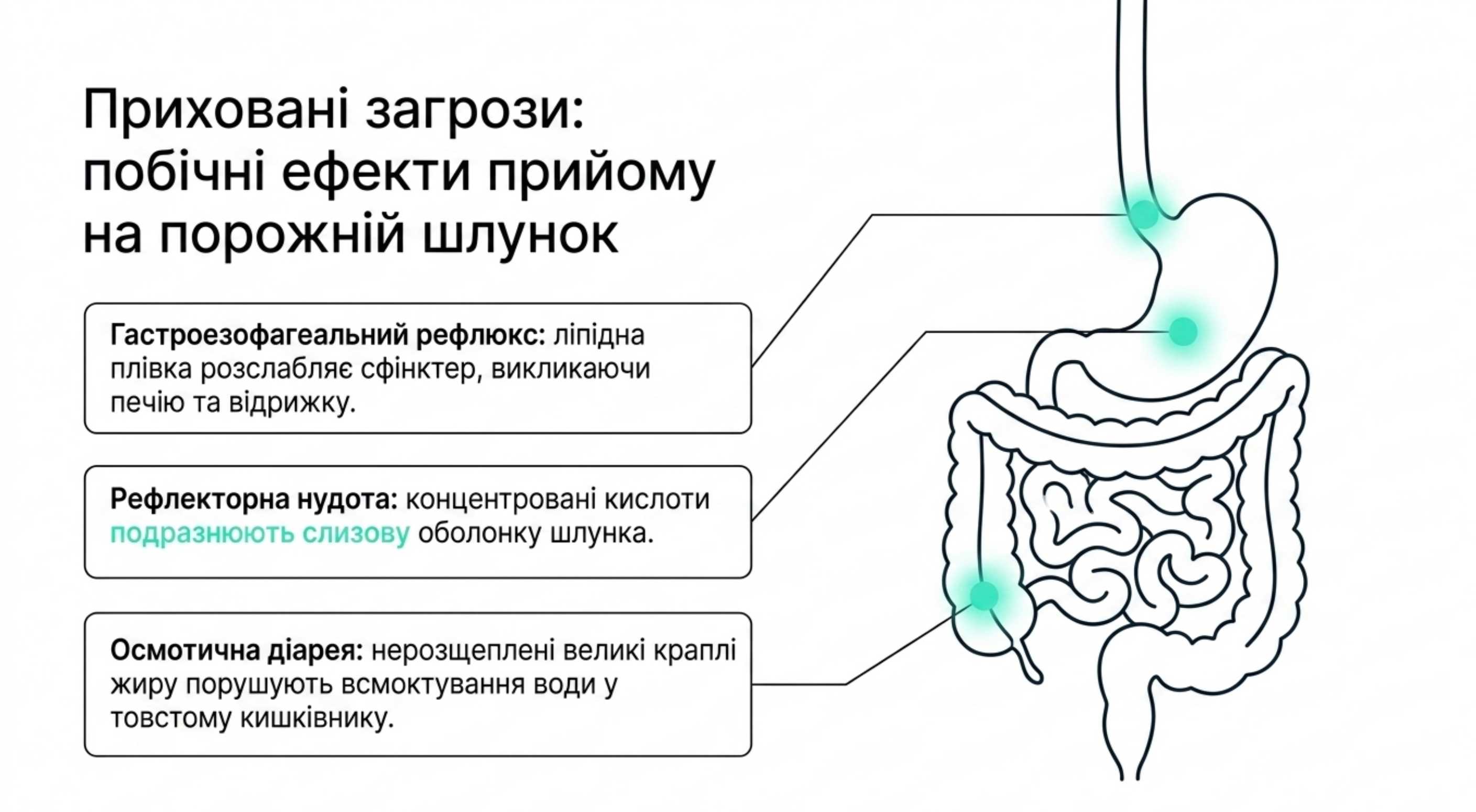 Біохімічний каскад всмоктування