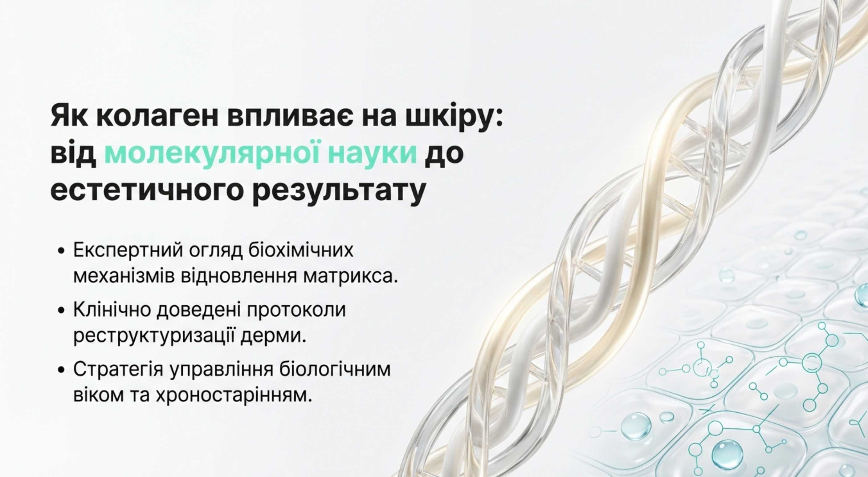 Молекулярний фундамент. Що робить колаген для шкіри