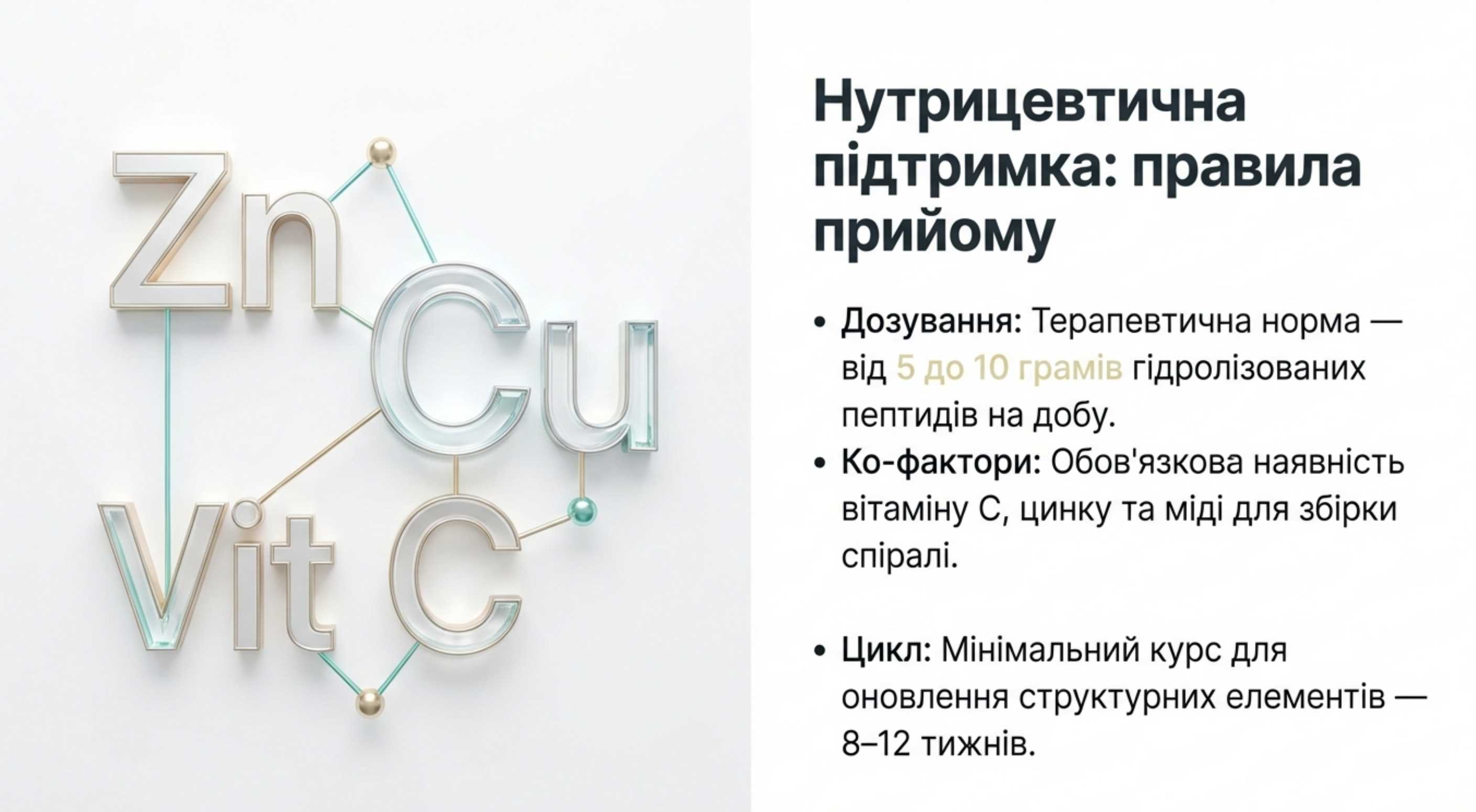 1. Нутрицевтична підтримка (Робота зсередини)