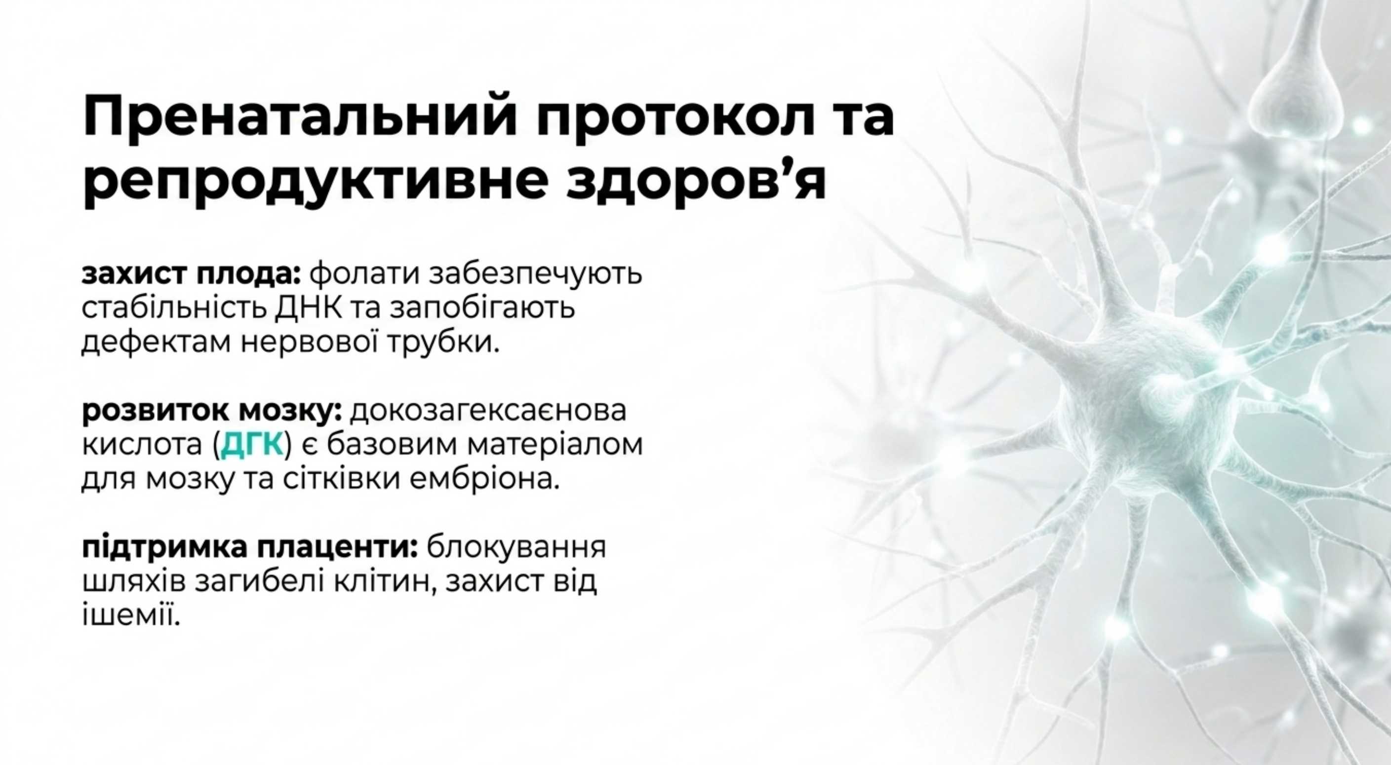 1. Пренатальный протокол и репродуктивное здоровье