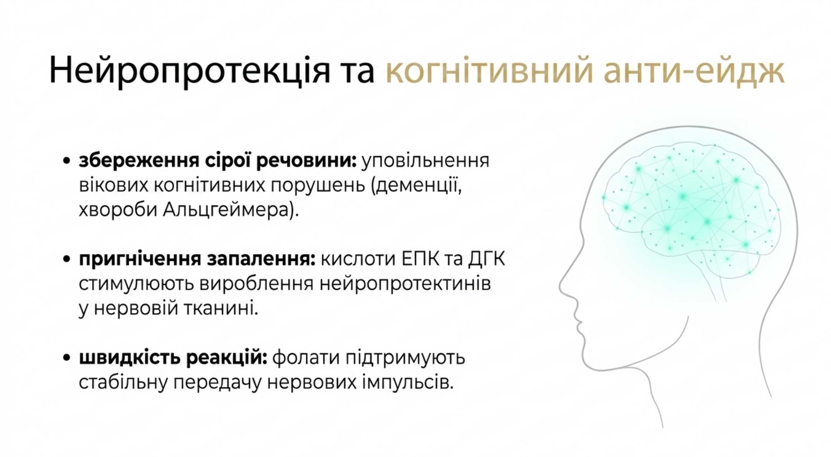3. Нейропротекция и когнитивный анти-эйдж