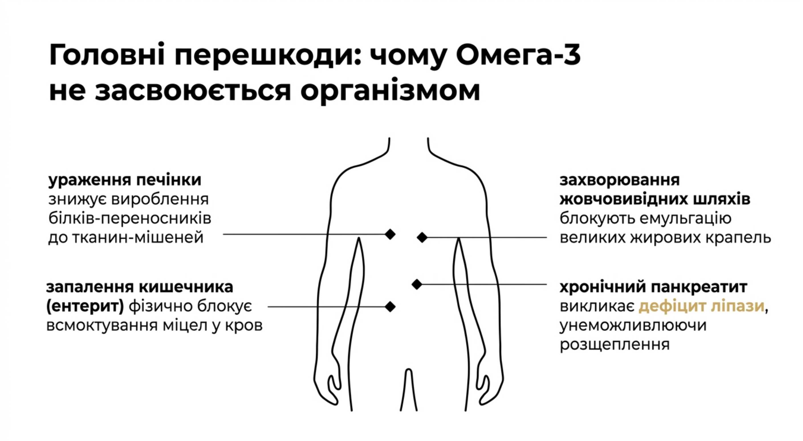 Головні перешкоди. Чому омега 3 не засвоюється організмом