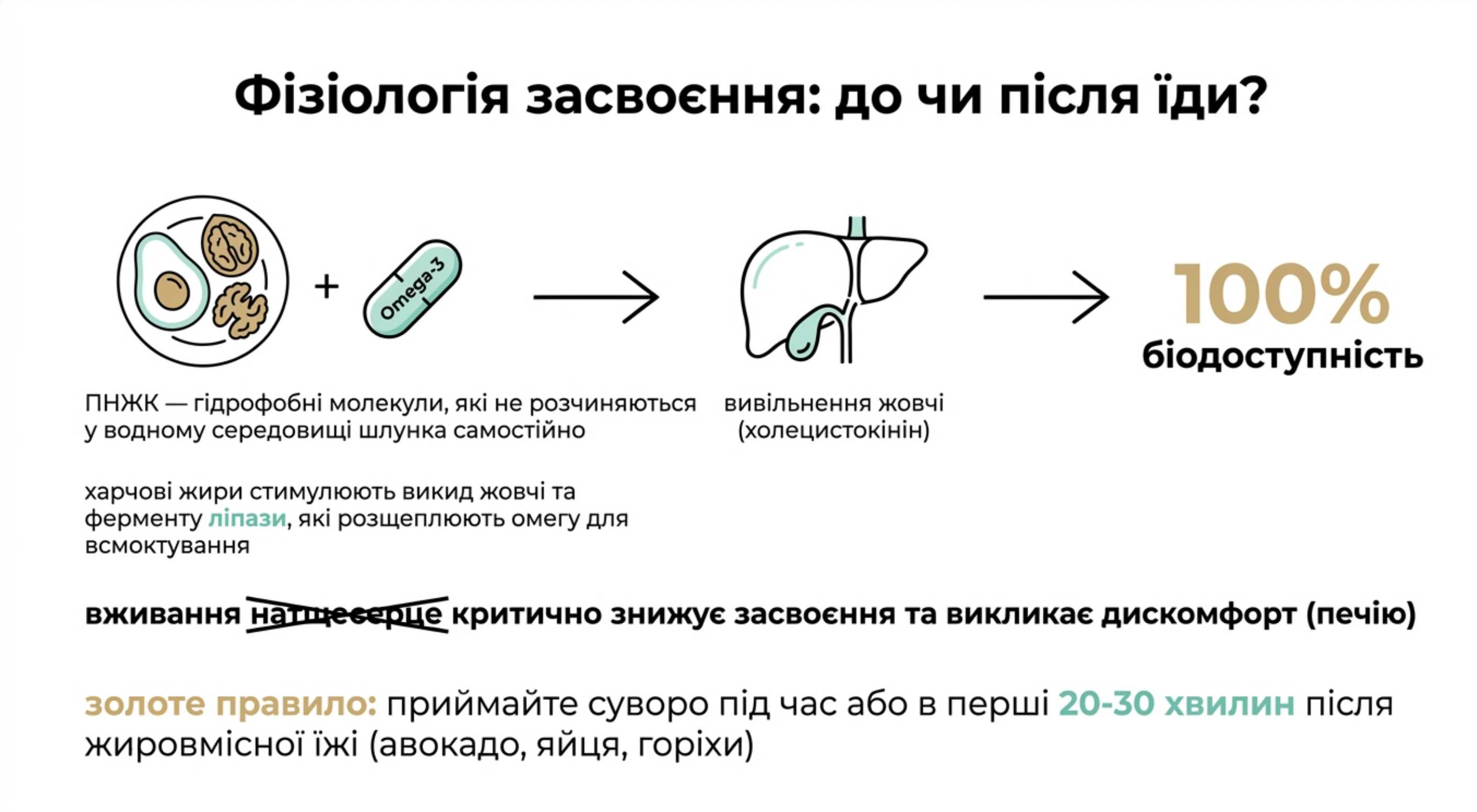Фізіологія засвоєння. Як і коли приймати омегу 3 [c]