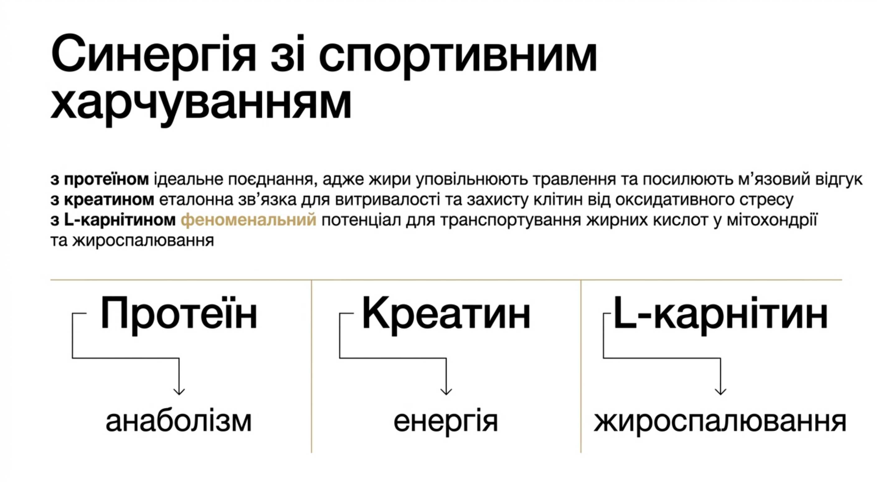 Синергія зі спортивним харчуванням
