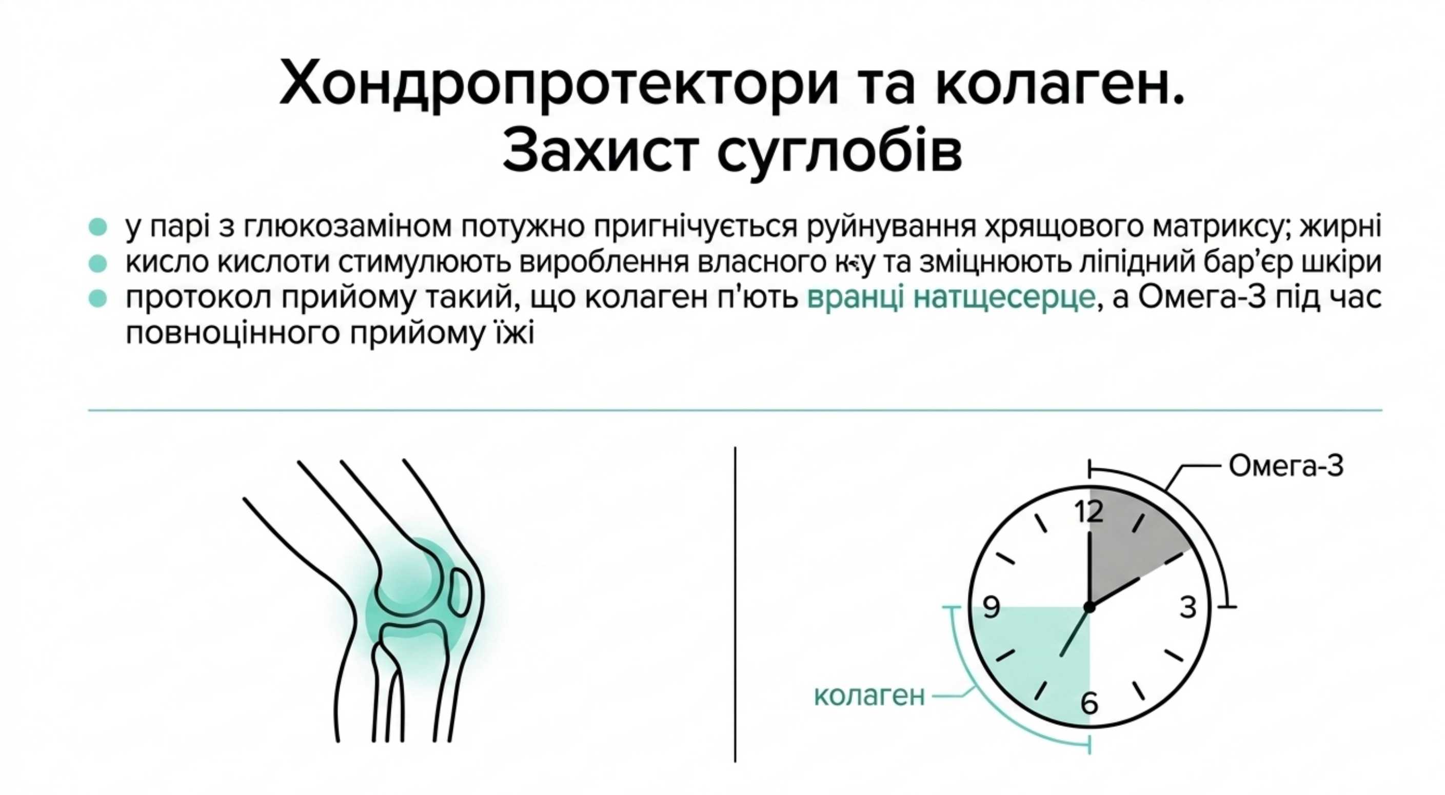 Хондропротектори і коллаген. Захист суглобів і молодість шкіри