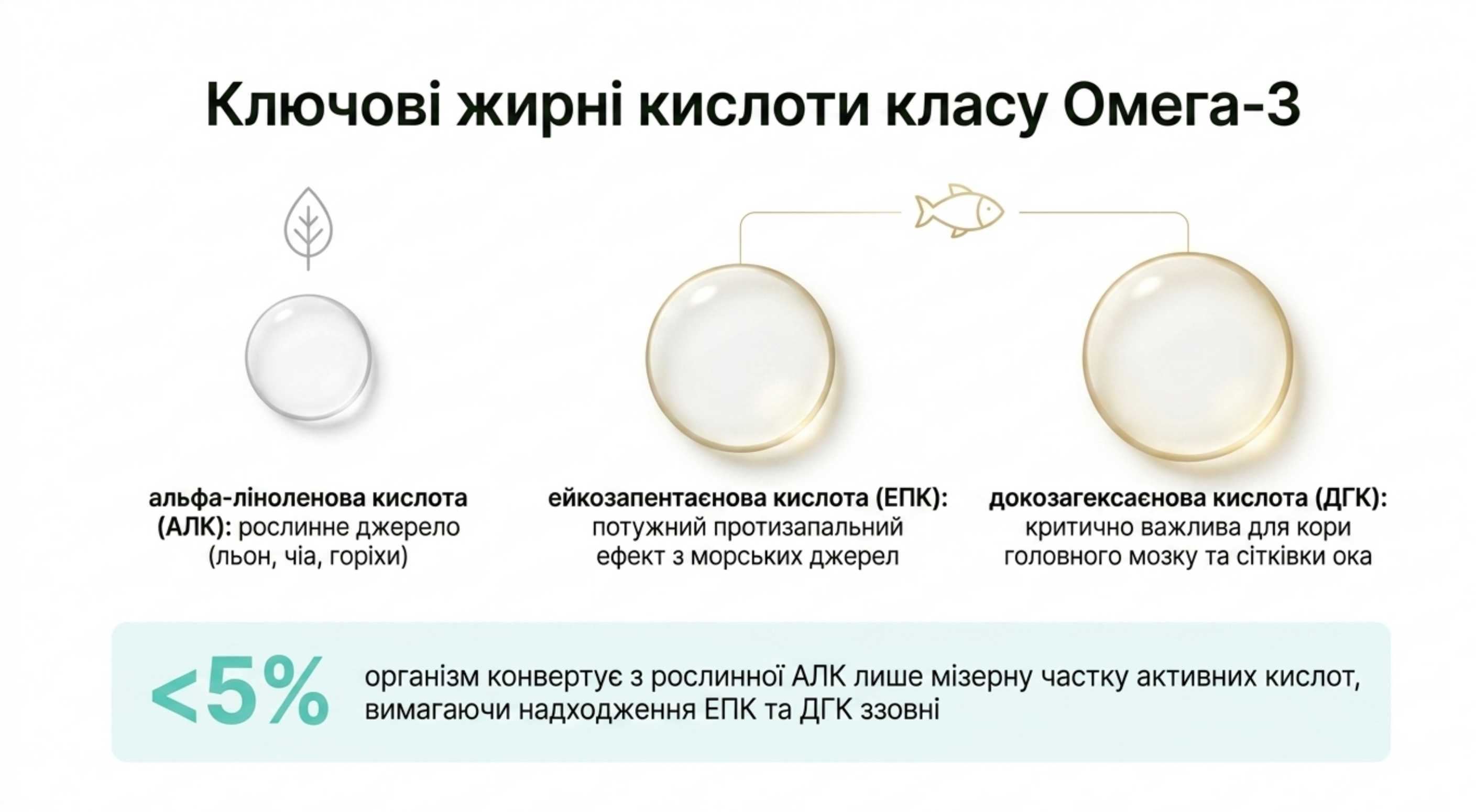 Які жирні кислоти утворюють клас і чому це важливо