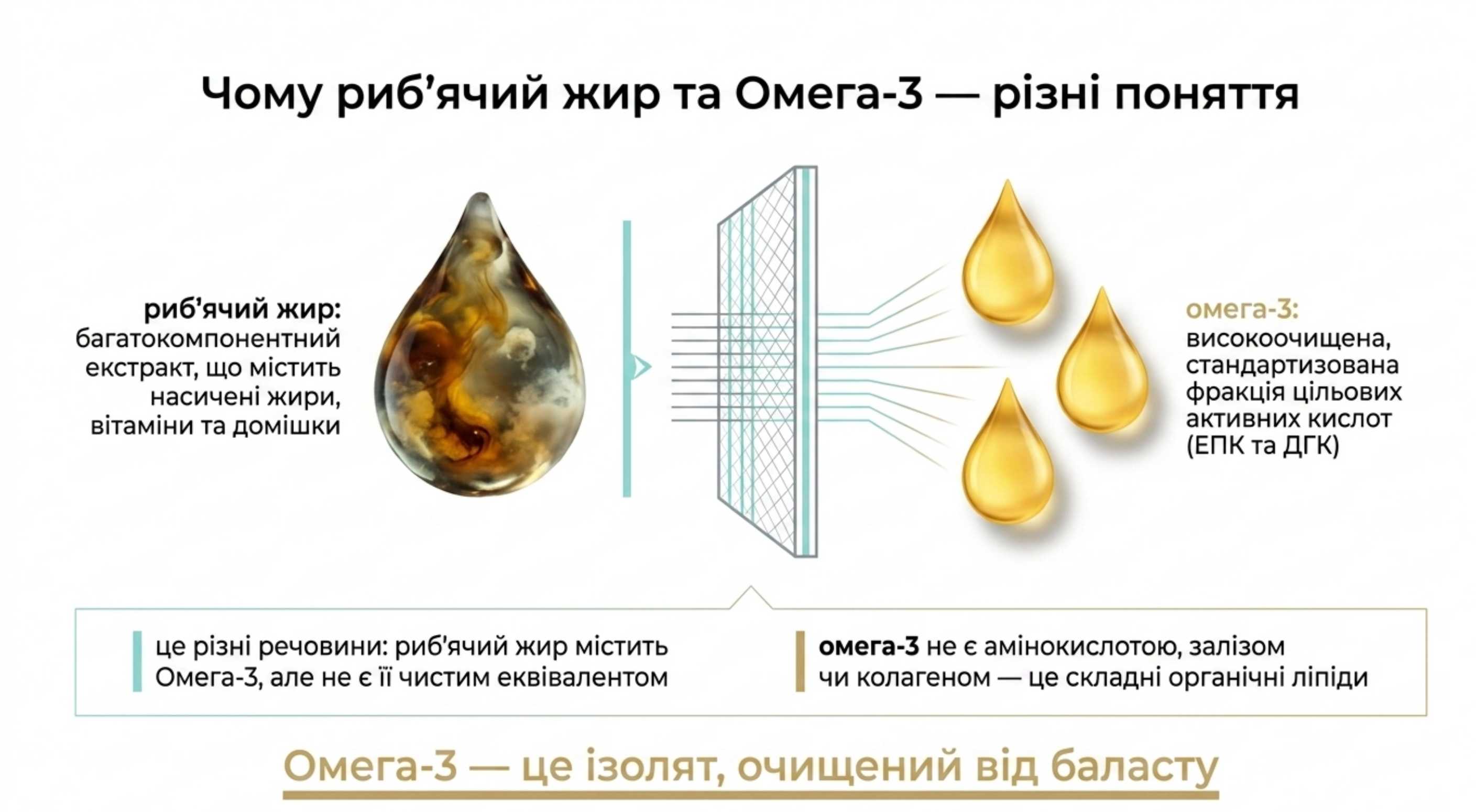 Розвінчуємо міфи. Що таке омега 3 [c] і риб'ячий жир