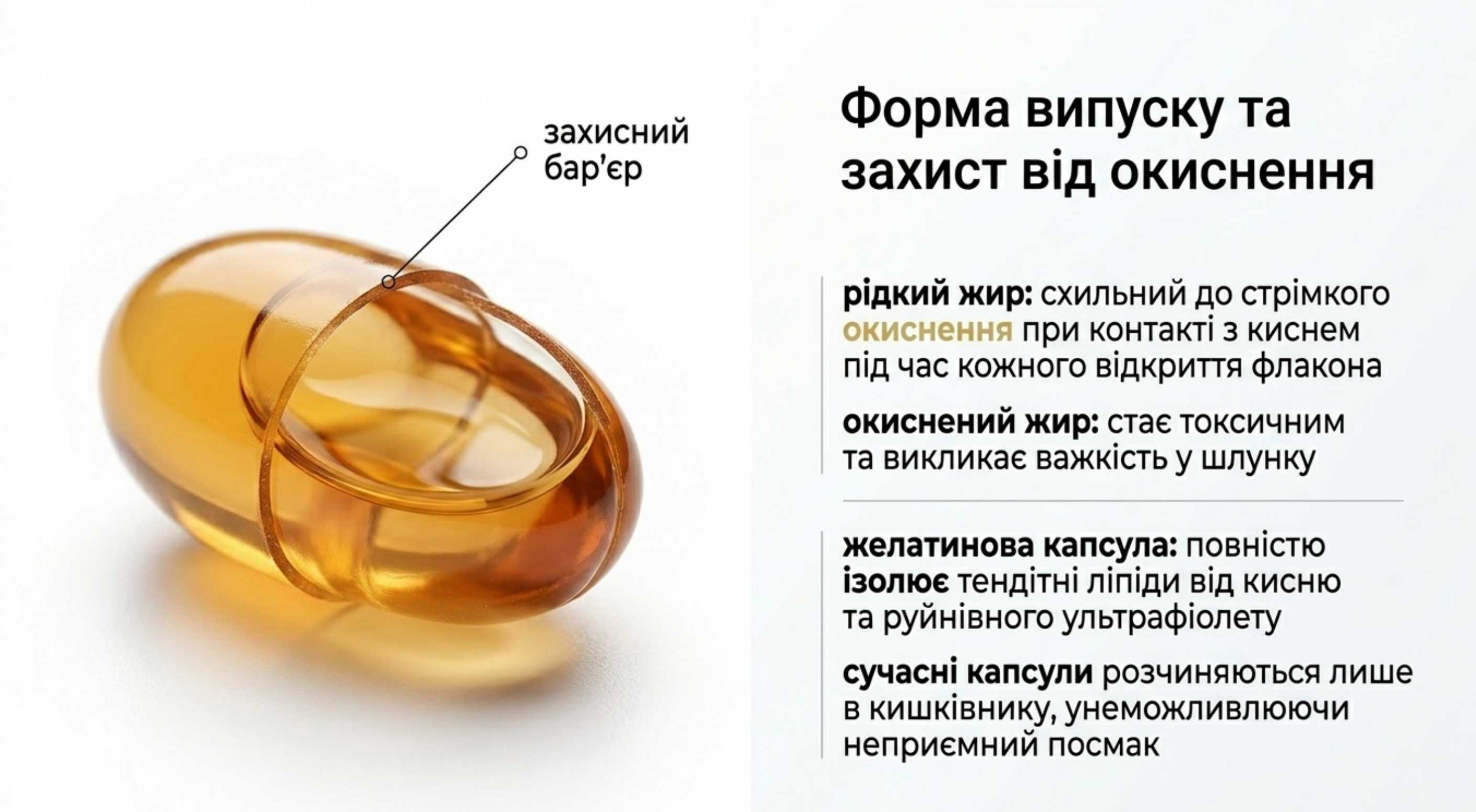 Риб'ячий жир форма випуску та органолептика. Що таке омега 3 в капсулах