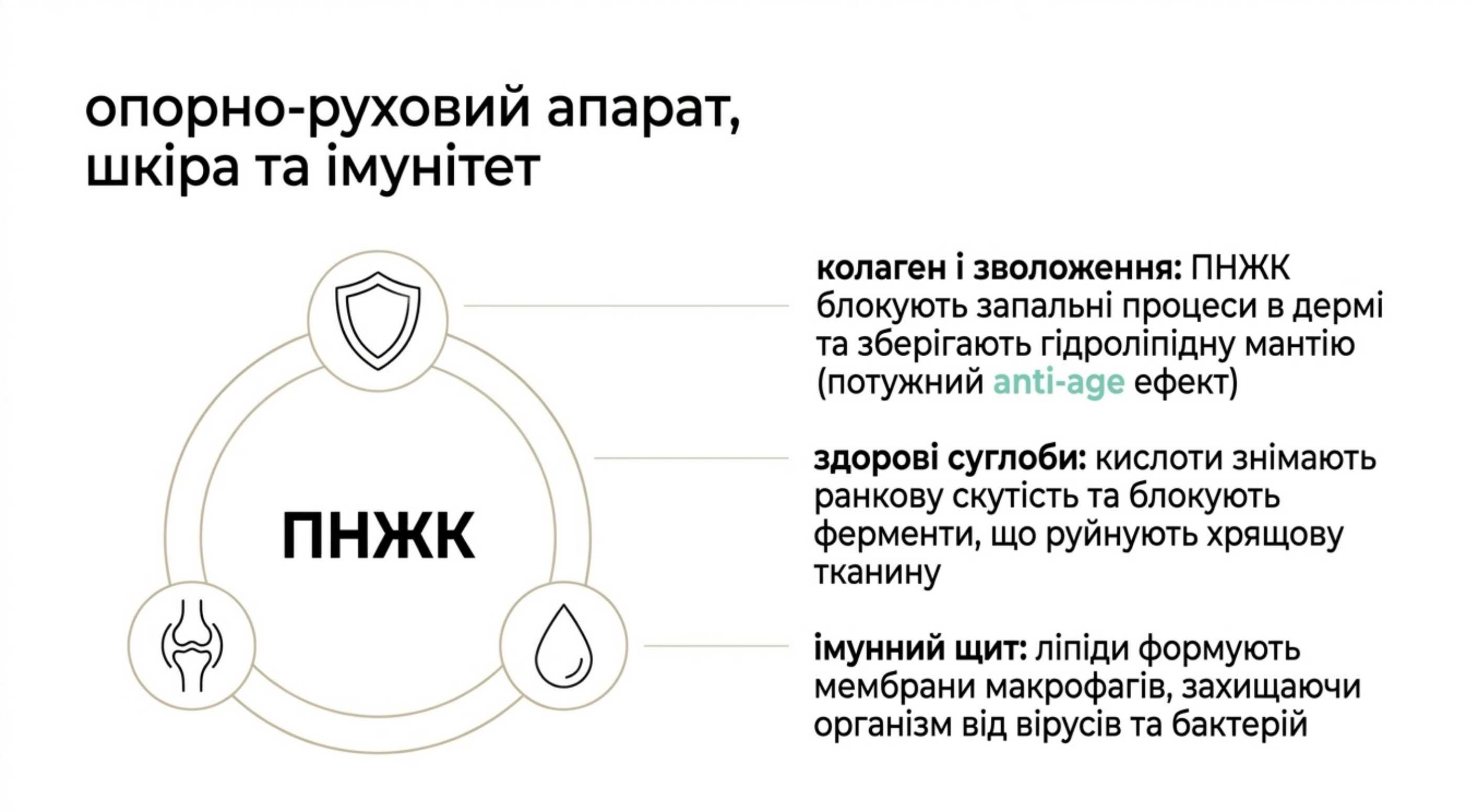 Серцево-судинна система і захист мозку