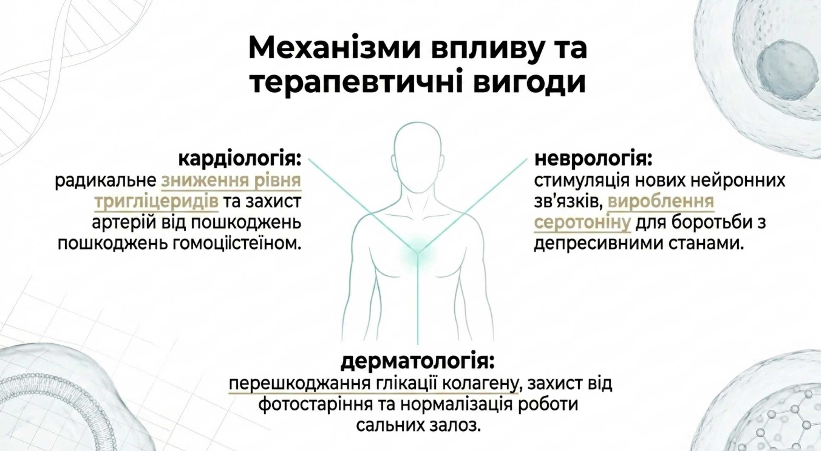 Механізми впливу та терапевтичні вигоди
