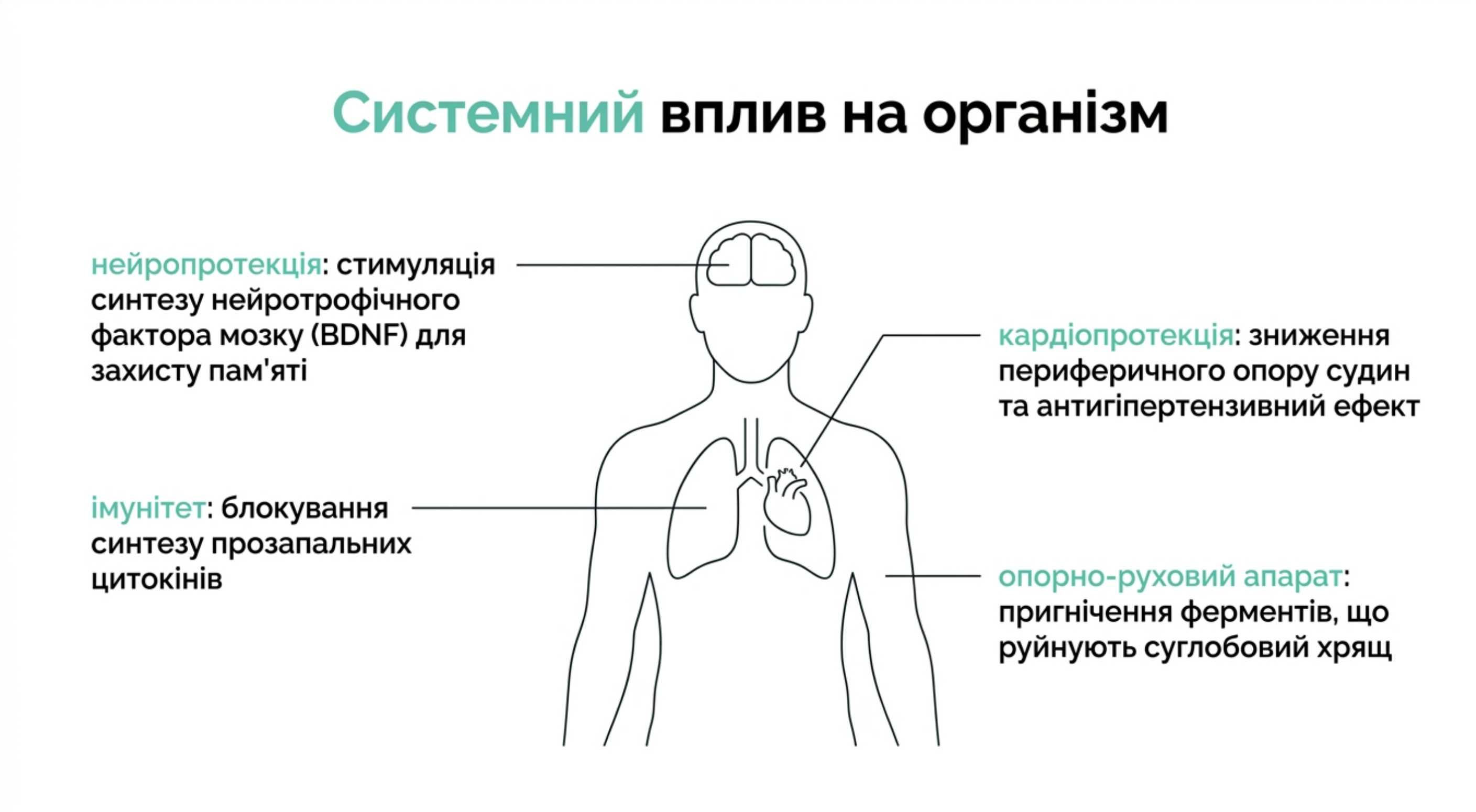 Системний вплив. Властивості риб'ячого жиру на організм