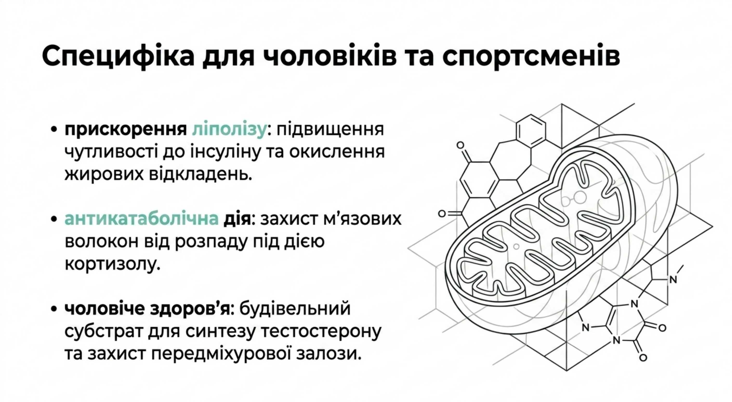 Специфіка для чоловіків і спортсменів