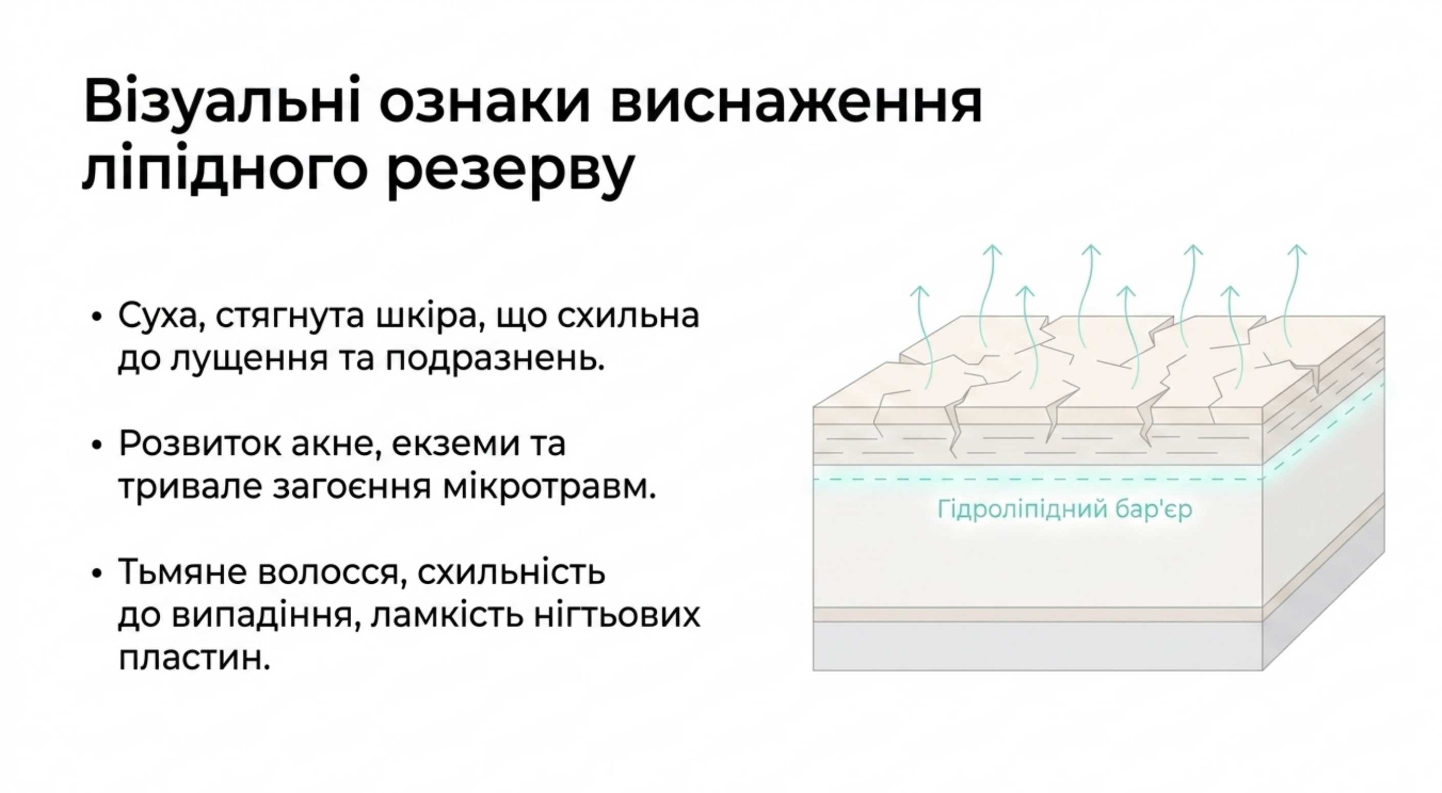 2. Дерматологія і зовнішній вигляд