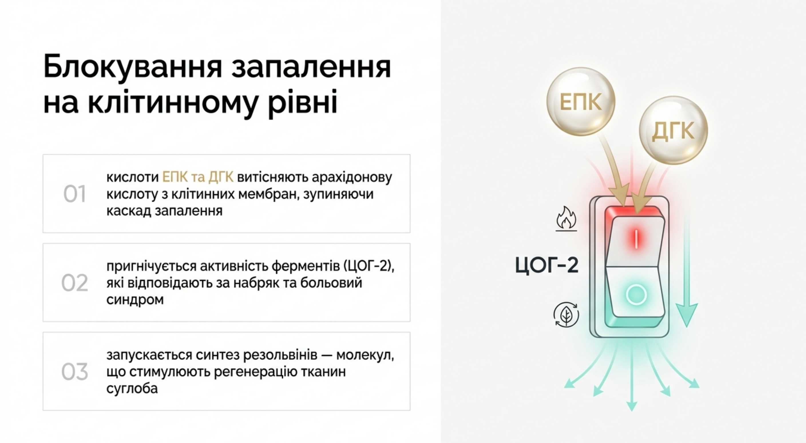 Молекулярный механизм. Как омега 3 при артрите блокирует системное воспаление