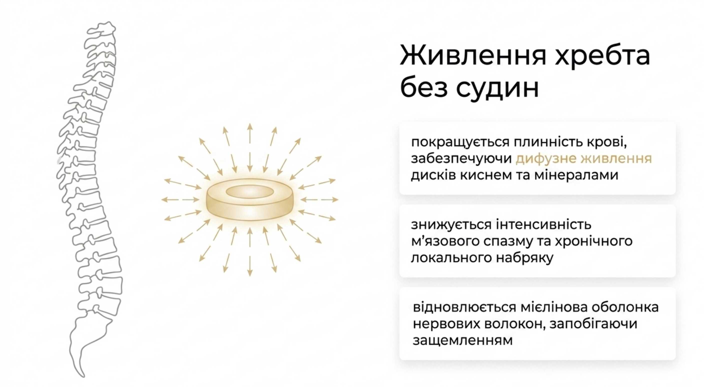 Восстановление межпозвонковых дисков. Рыбий жир при остеохондрозе