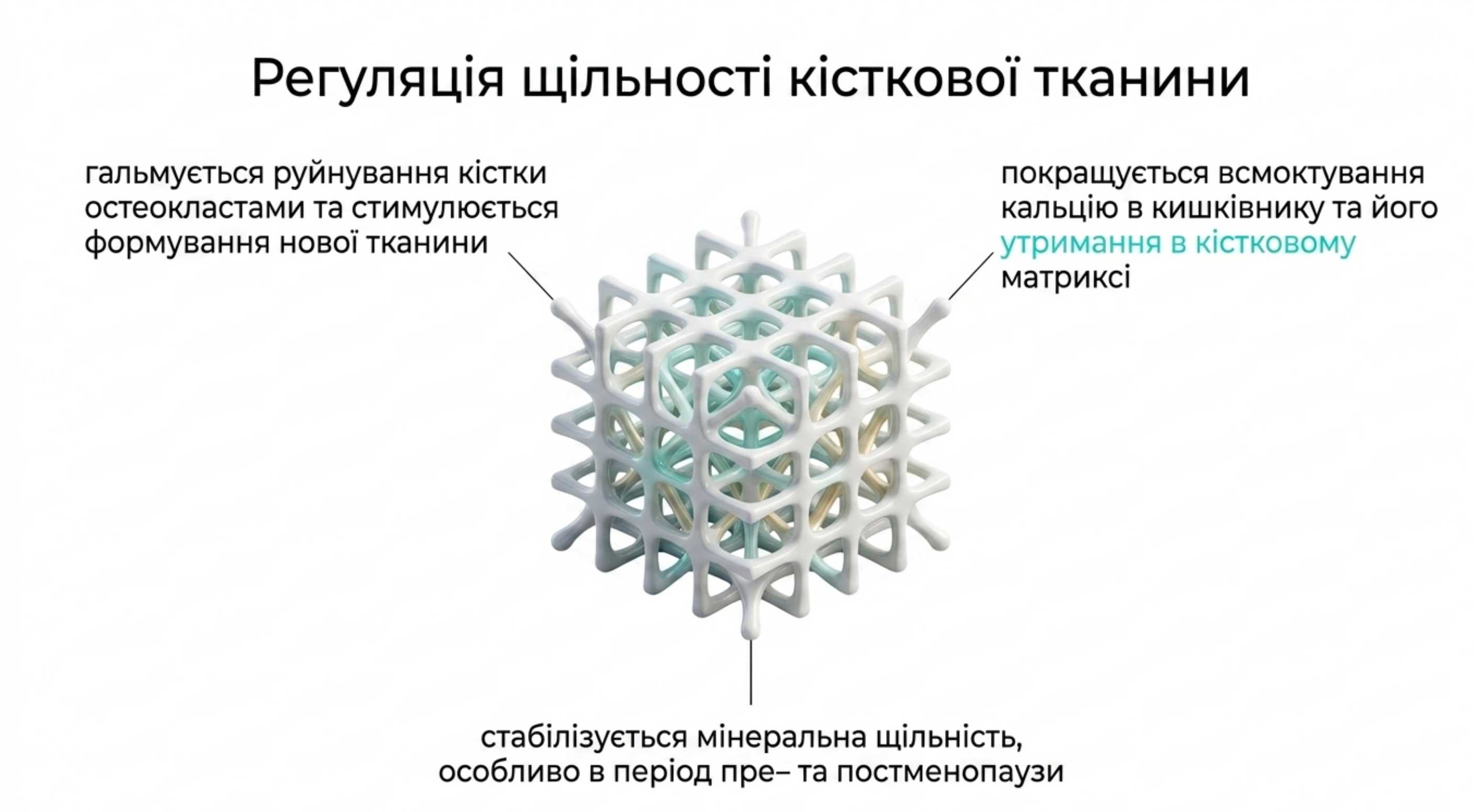 Укрепление костного матрикса. Омега 3 при остеопорозе