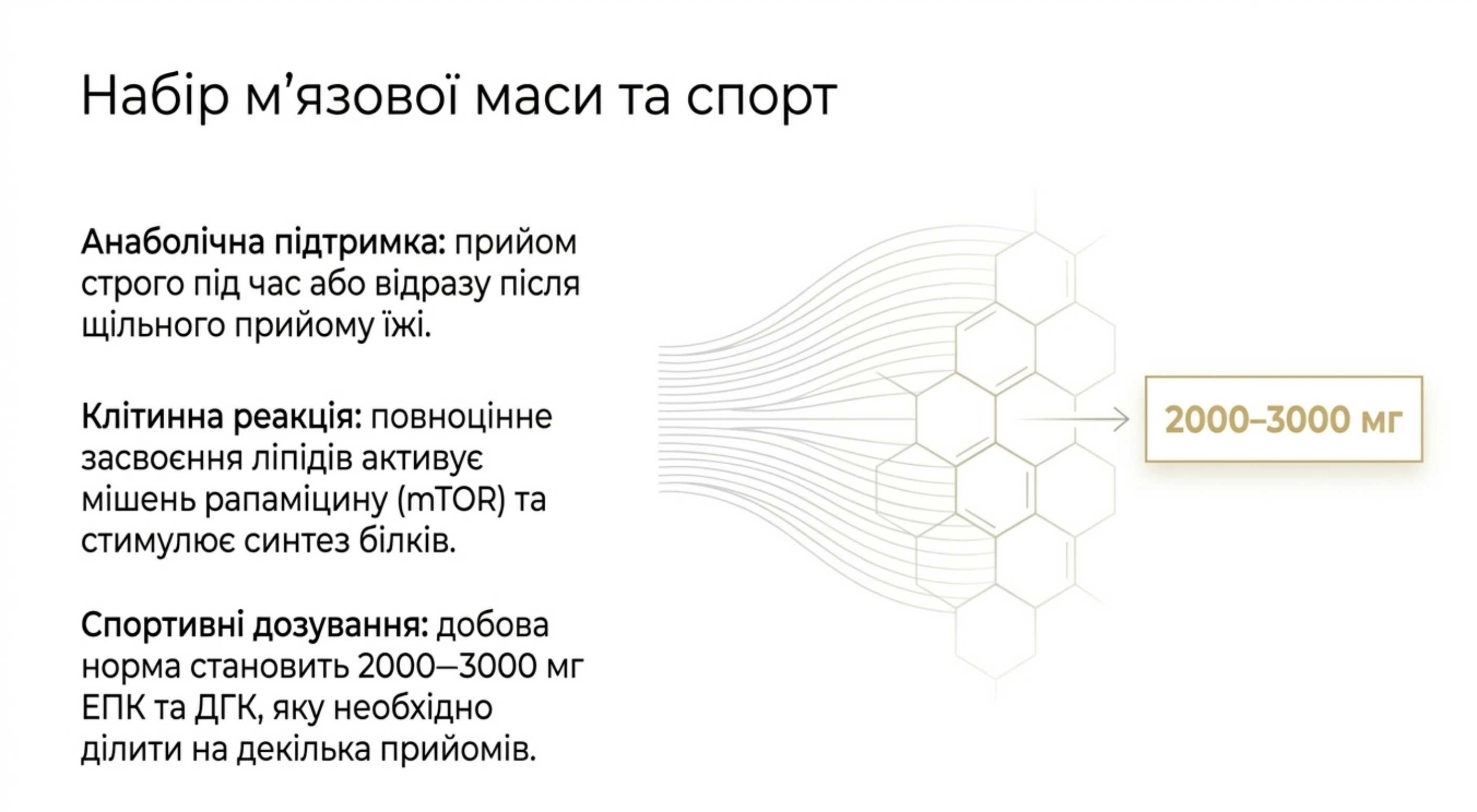 Режим 3. Набір м'язової маси та спорт