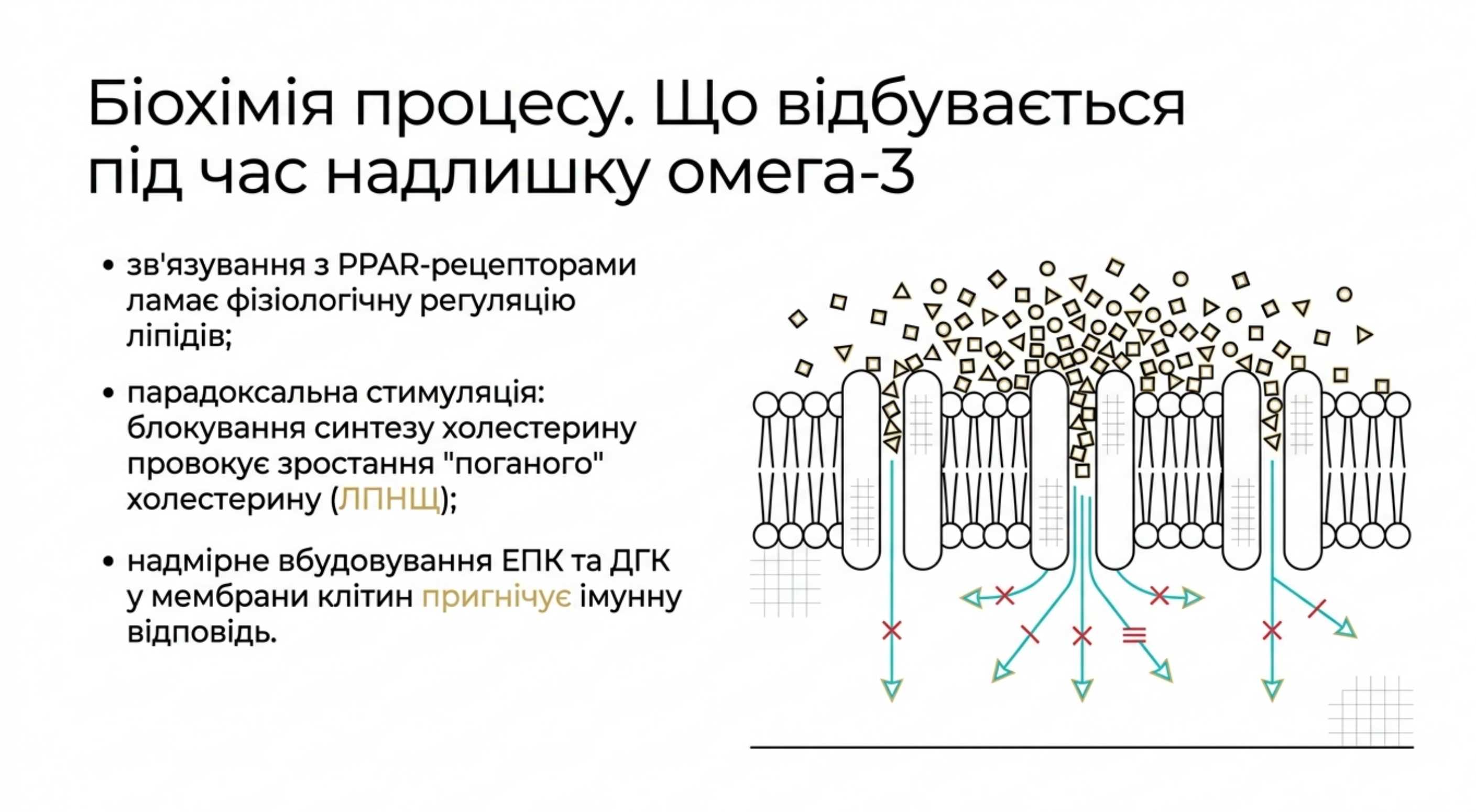 Біохімія процесу. Що відбувається, коли виникає надлишок омега 3