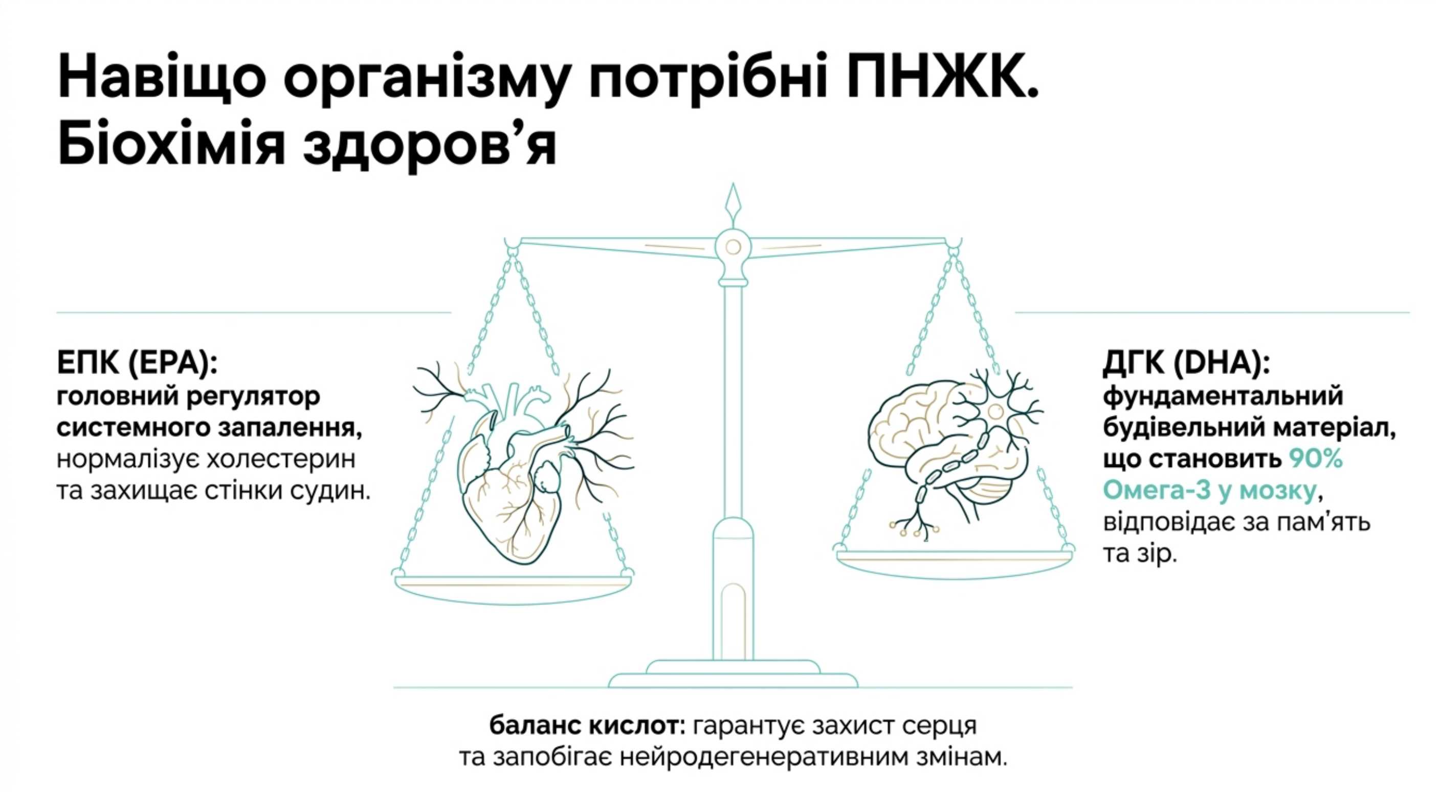 Зачем организму нужны ПНЖК. Биохимия здоровья
