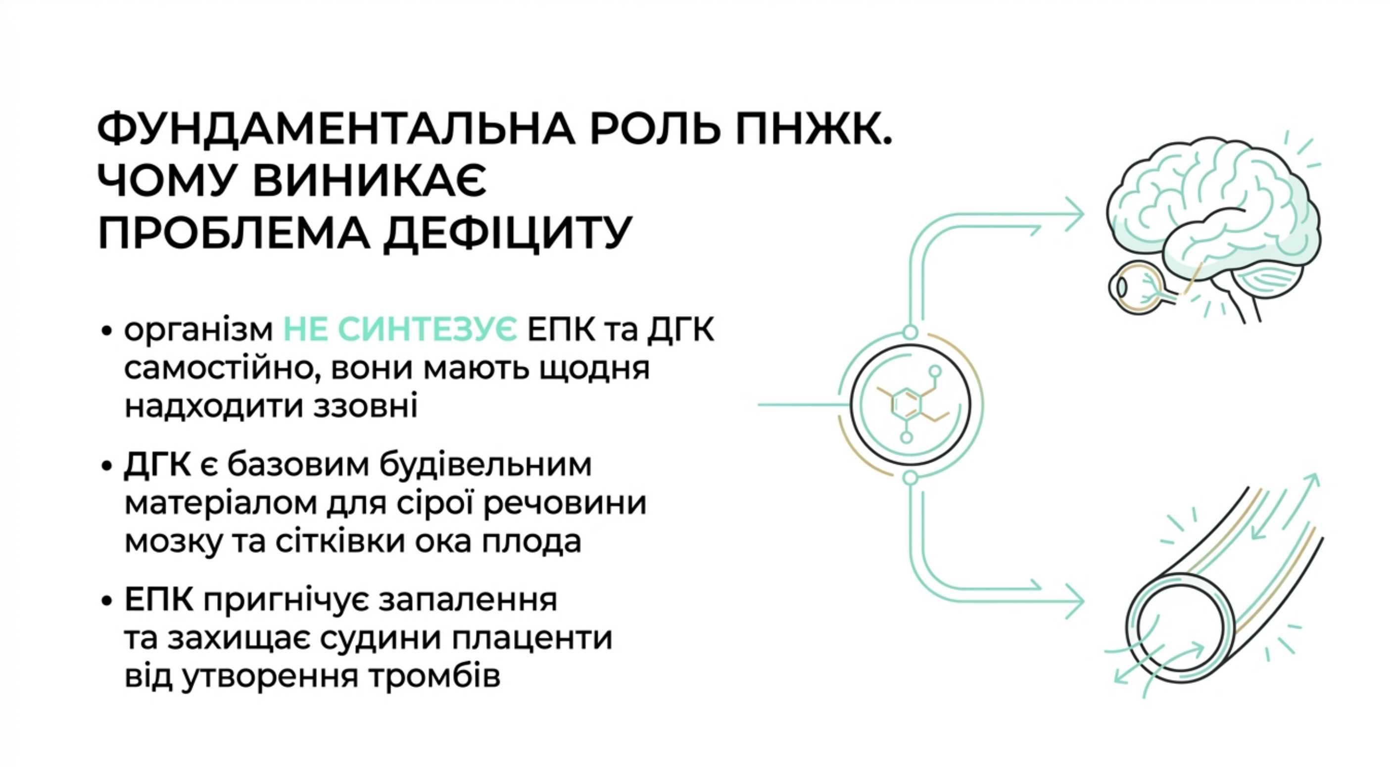 Фундаментальна роль ПНЖК. Чому виникає проблема дефіциту