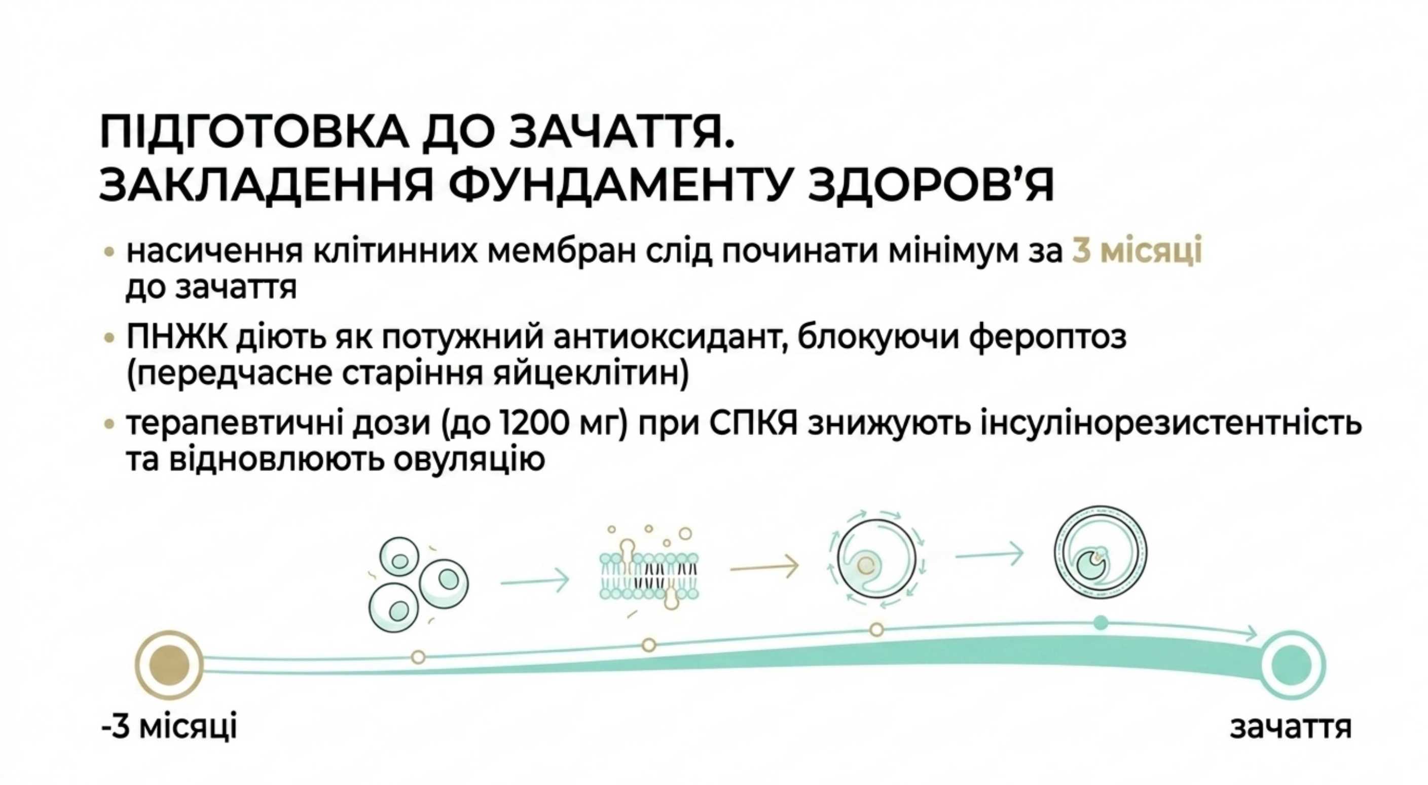 Підготовка до зачаття. Закладка фундаменту здоров'я