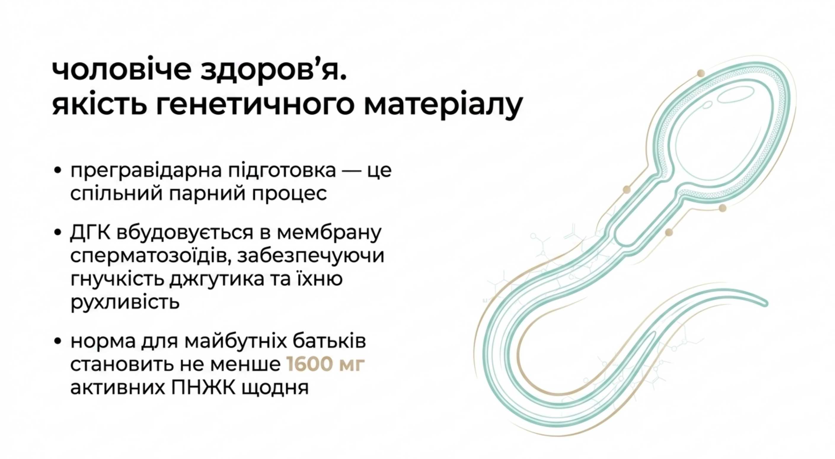 Чоловіче здоров'я. Якість генетичного матеріалу