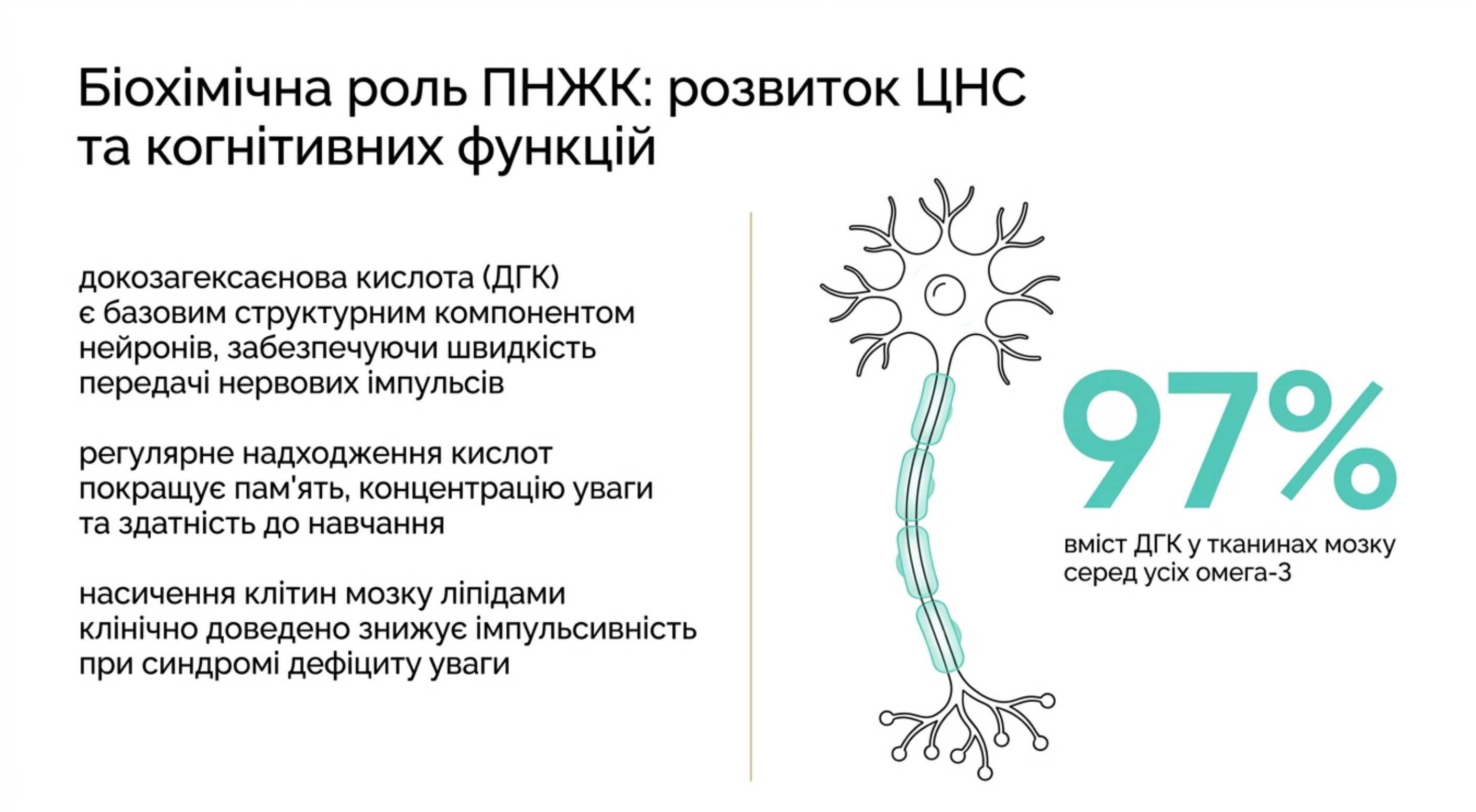Биохимическая роль ПНЖК в организме ребенка