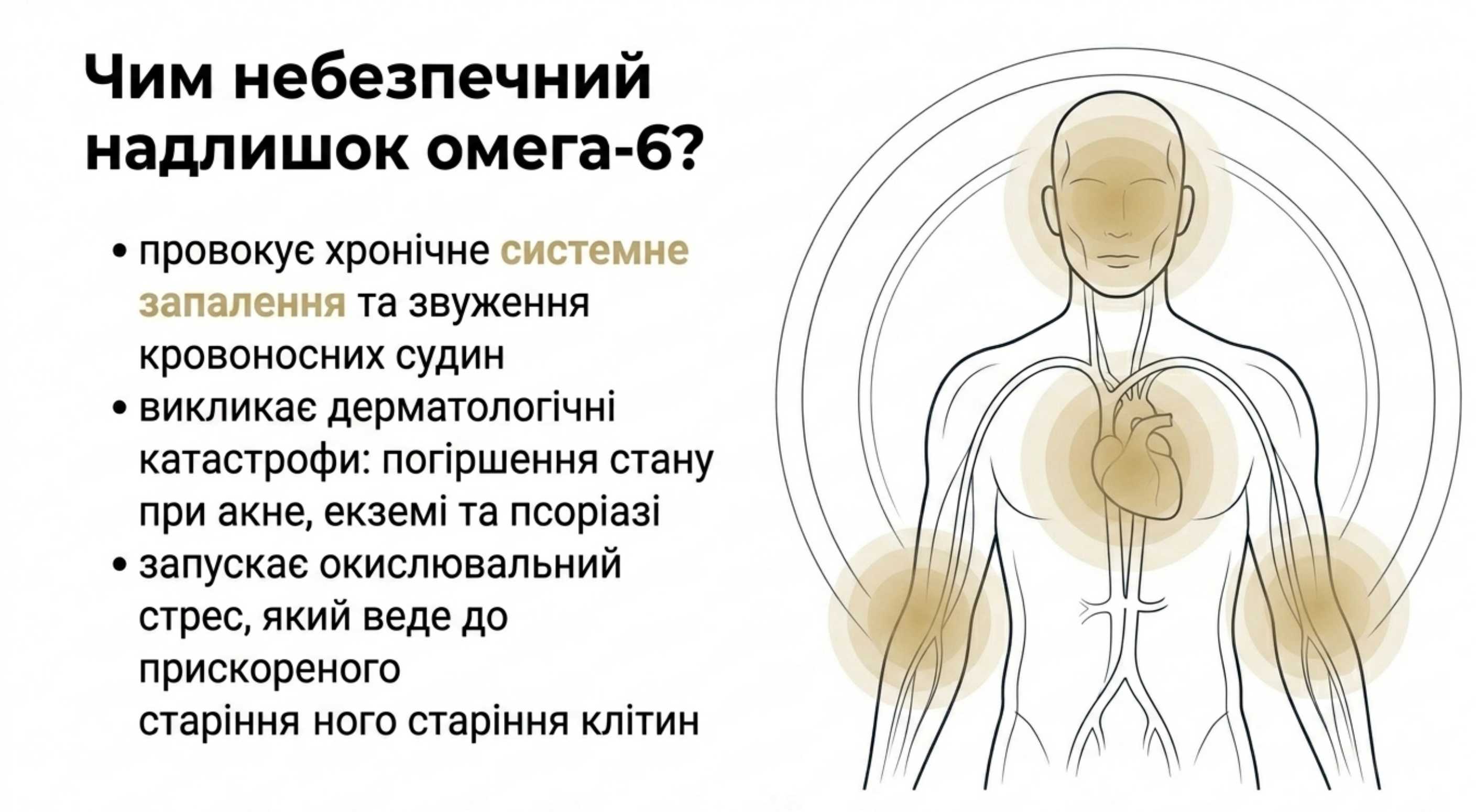 Чим небезпечний надлишок Омега-6?