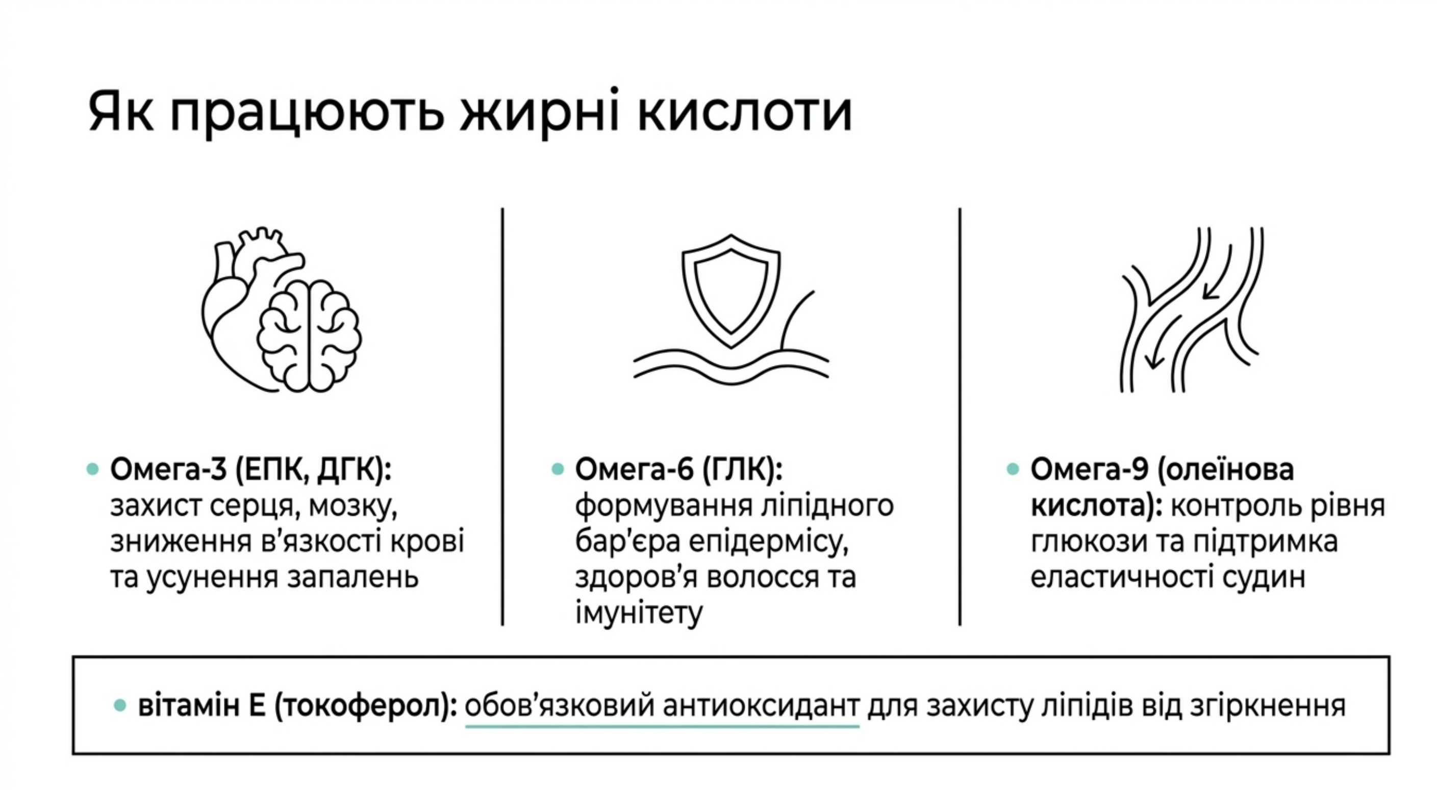 Біохімічний фундамент. Як працюють жирні кислоти