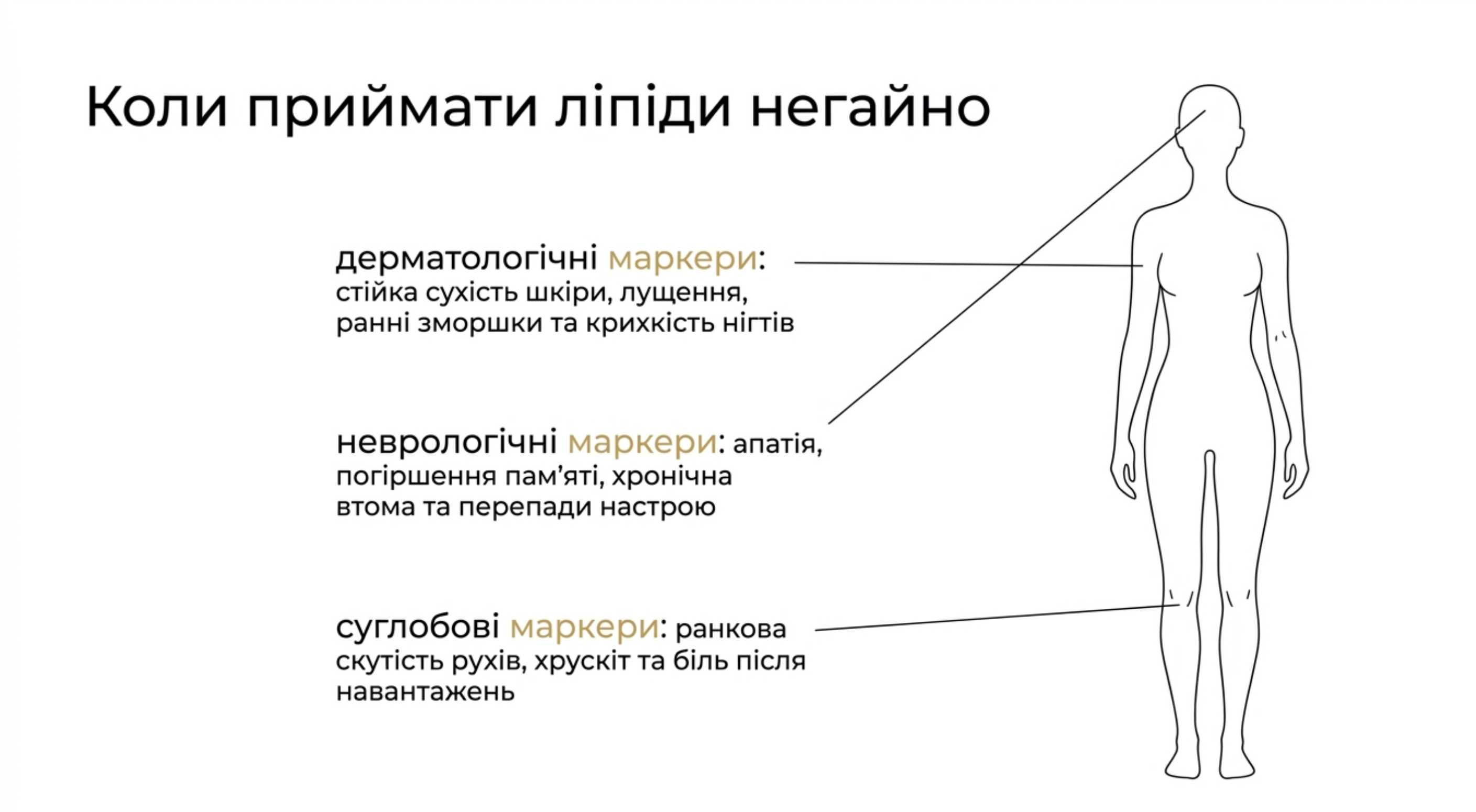 Діагностика стану. Коли вітаміни омега 3 6 9 інструкція рекомендує приймати невідкладно