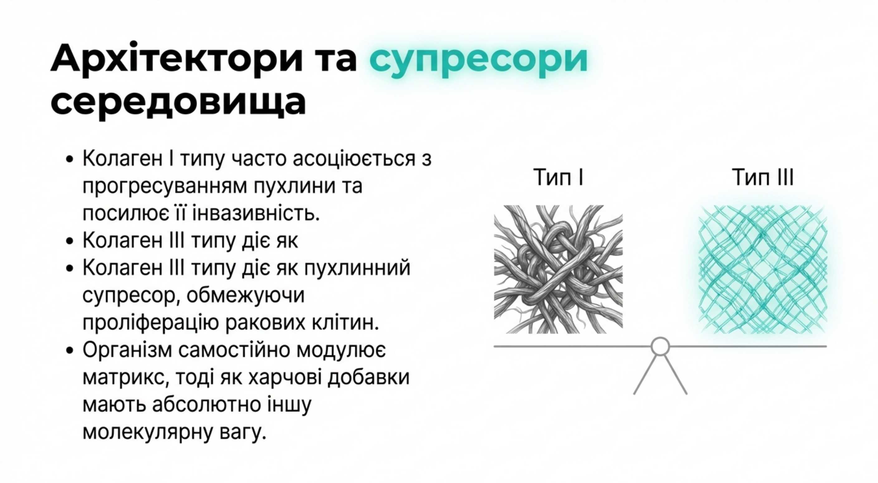 Типи коллагена. Архітектори і супресори