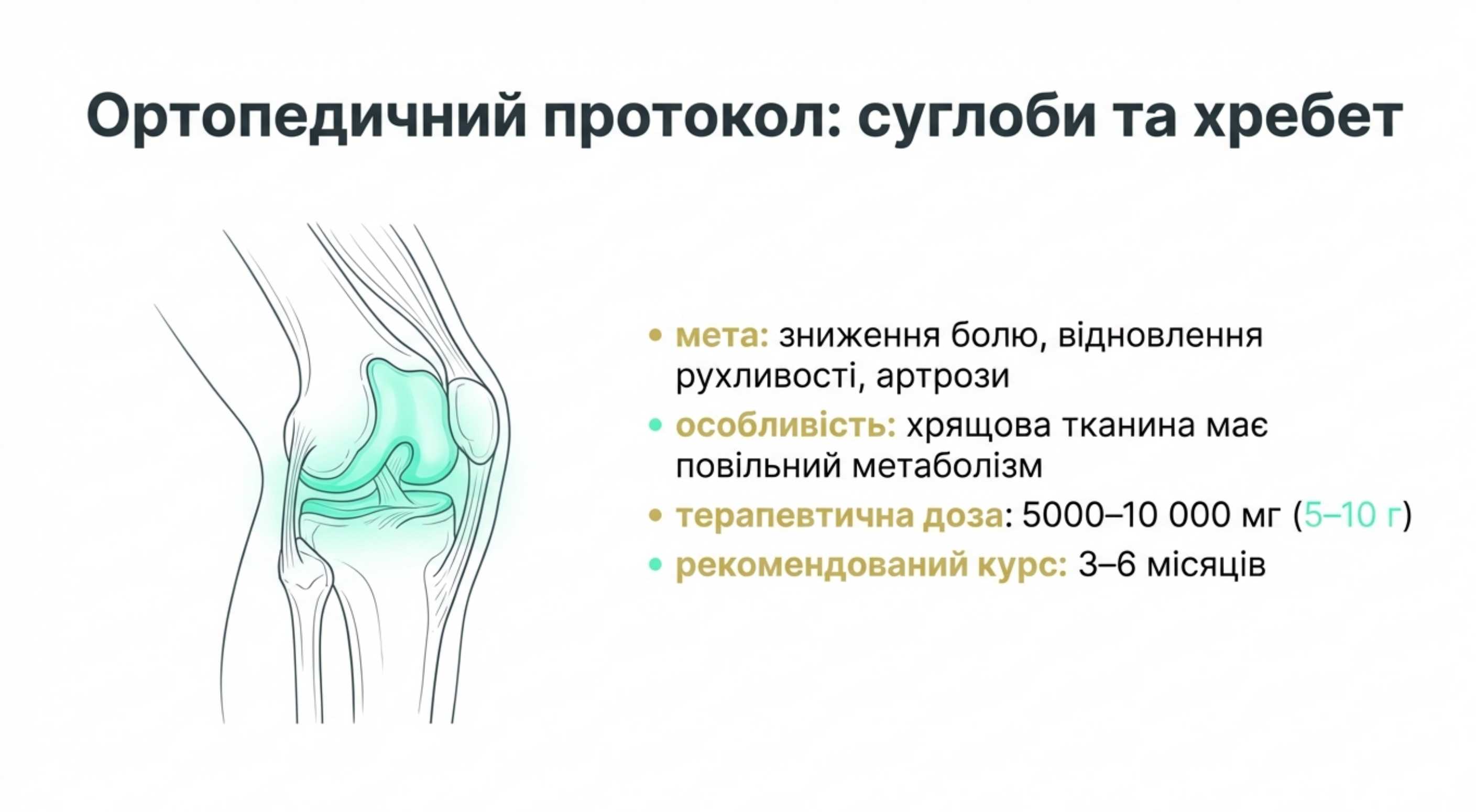 2. Ортопедичний протокол. Суглоби та хребет