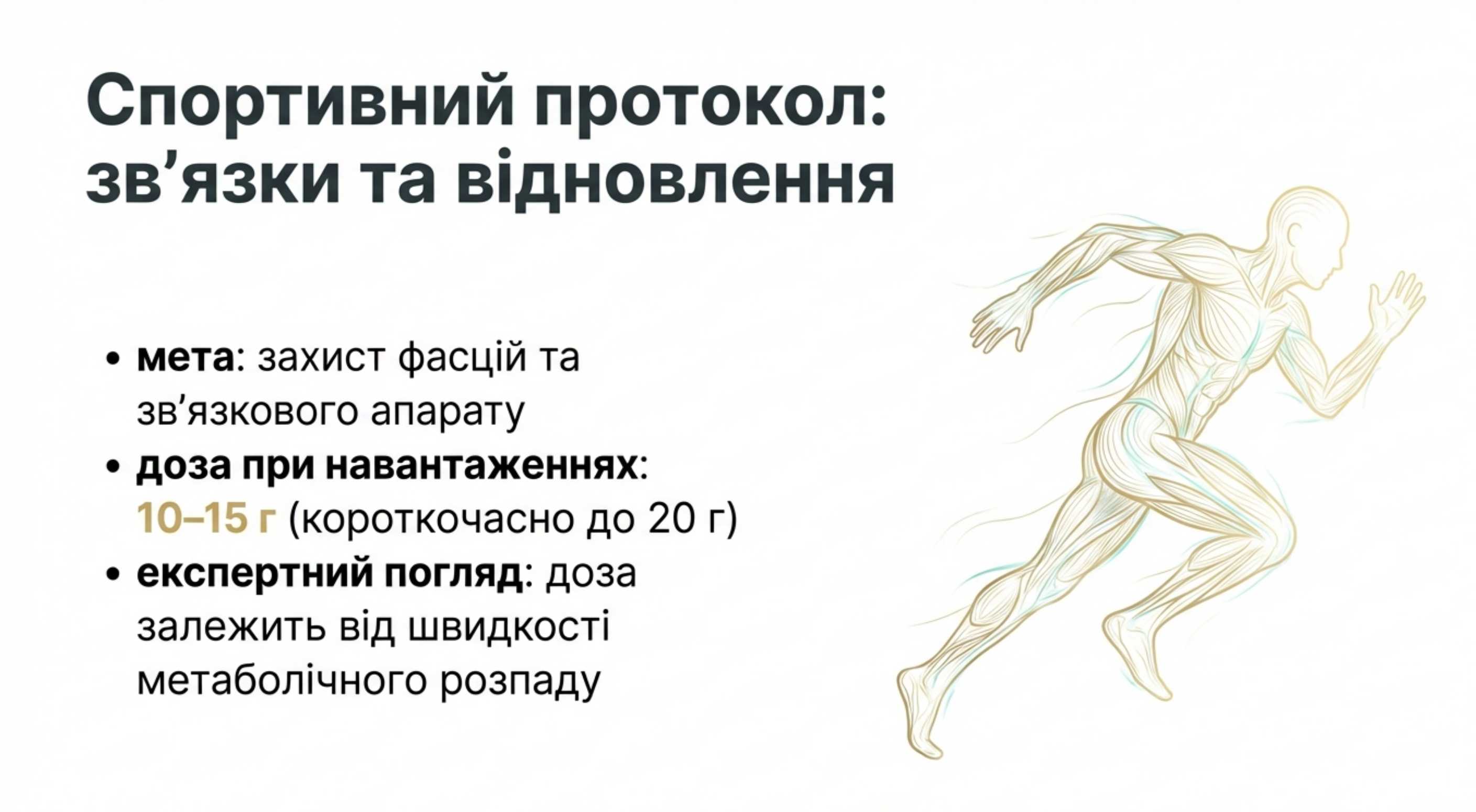 3. Спортивний протокол. Зв'язки та відновлення