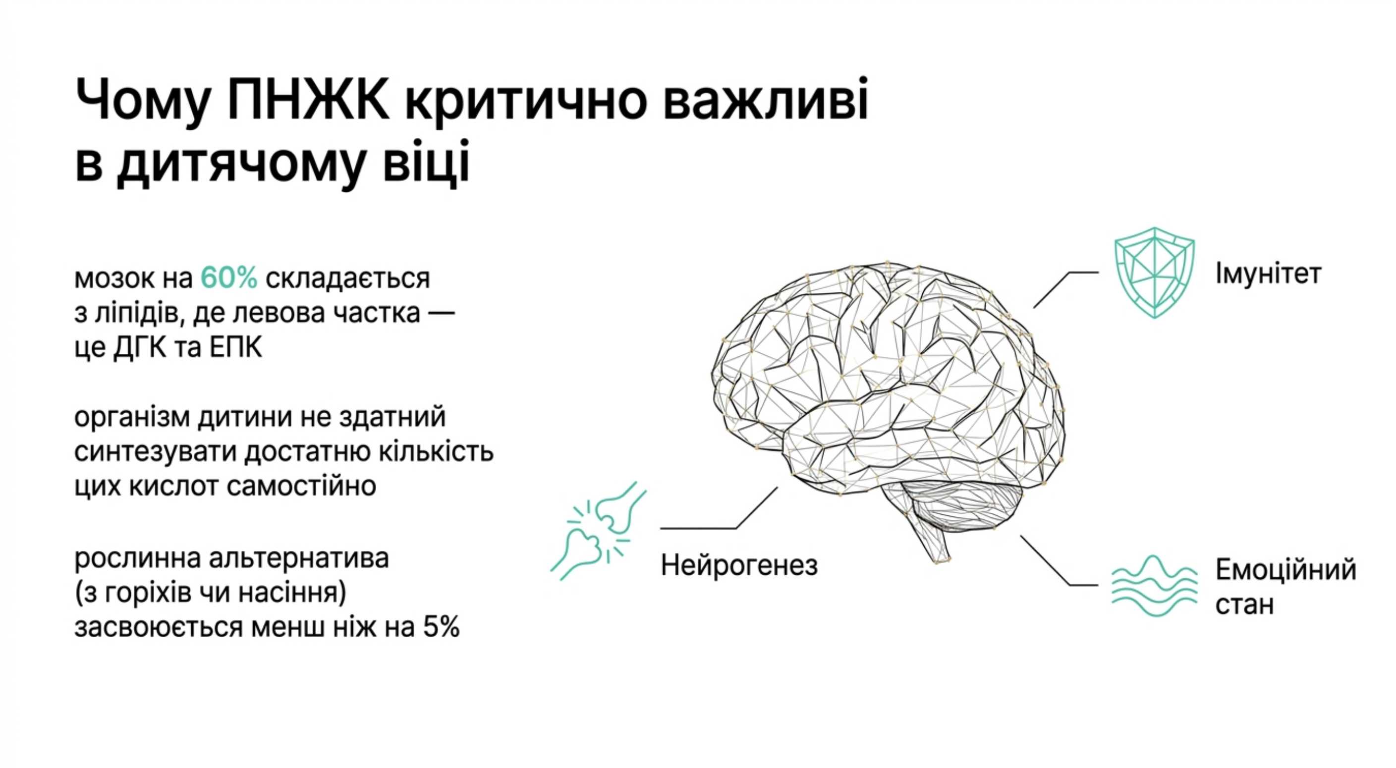 Біохімічна цінність. Чому ПНЖК критично важливі в дитячому віці