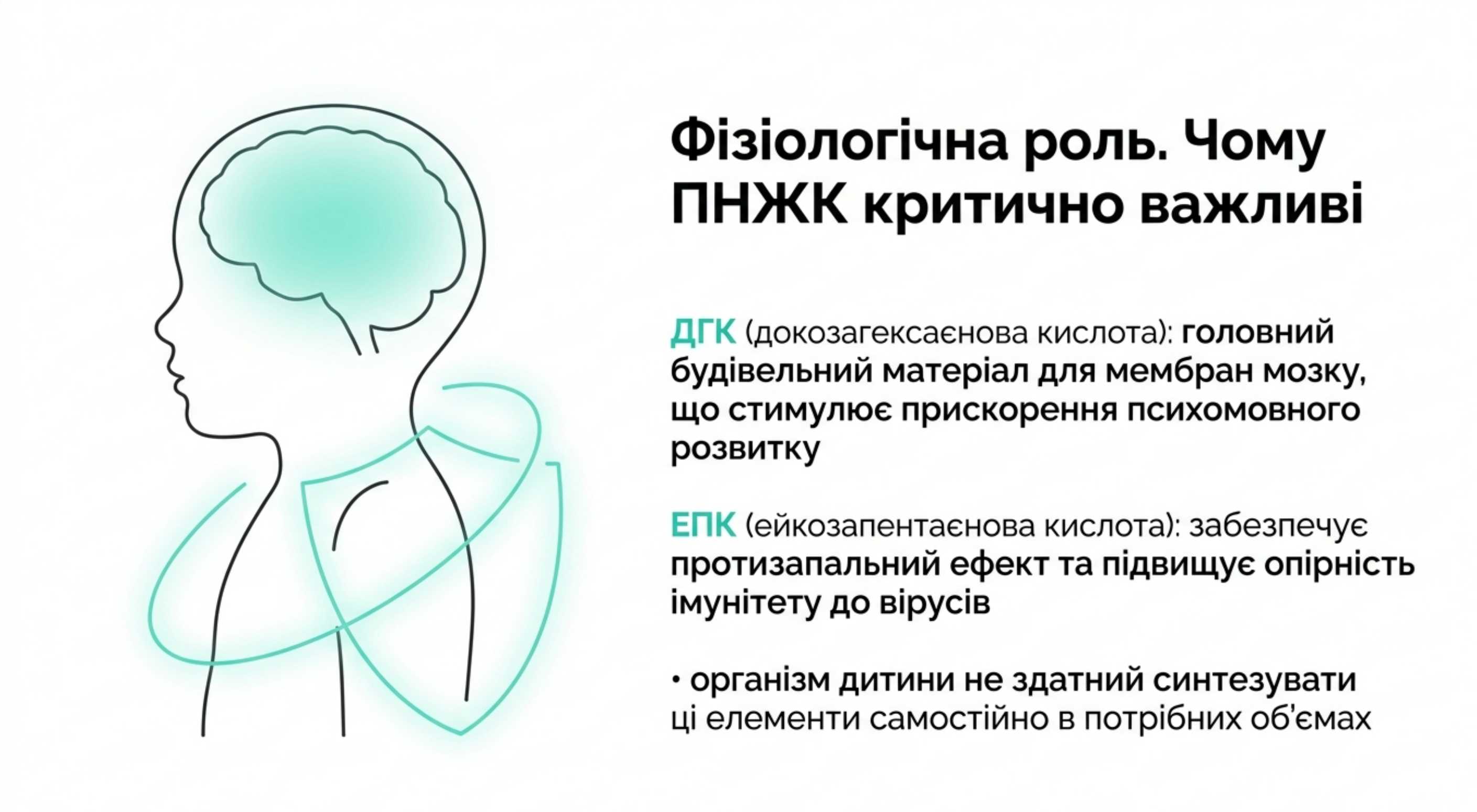 Фізіологічна роль. Чому поліненасичені жирні кислоти критично важливі