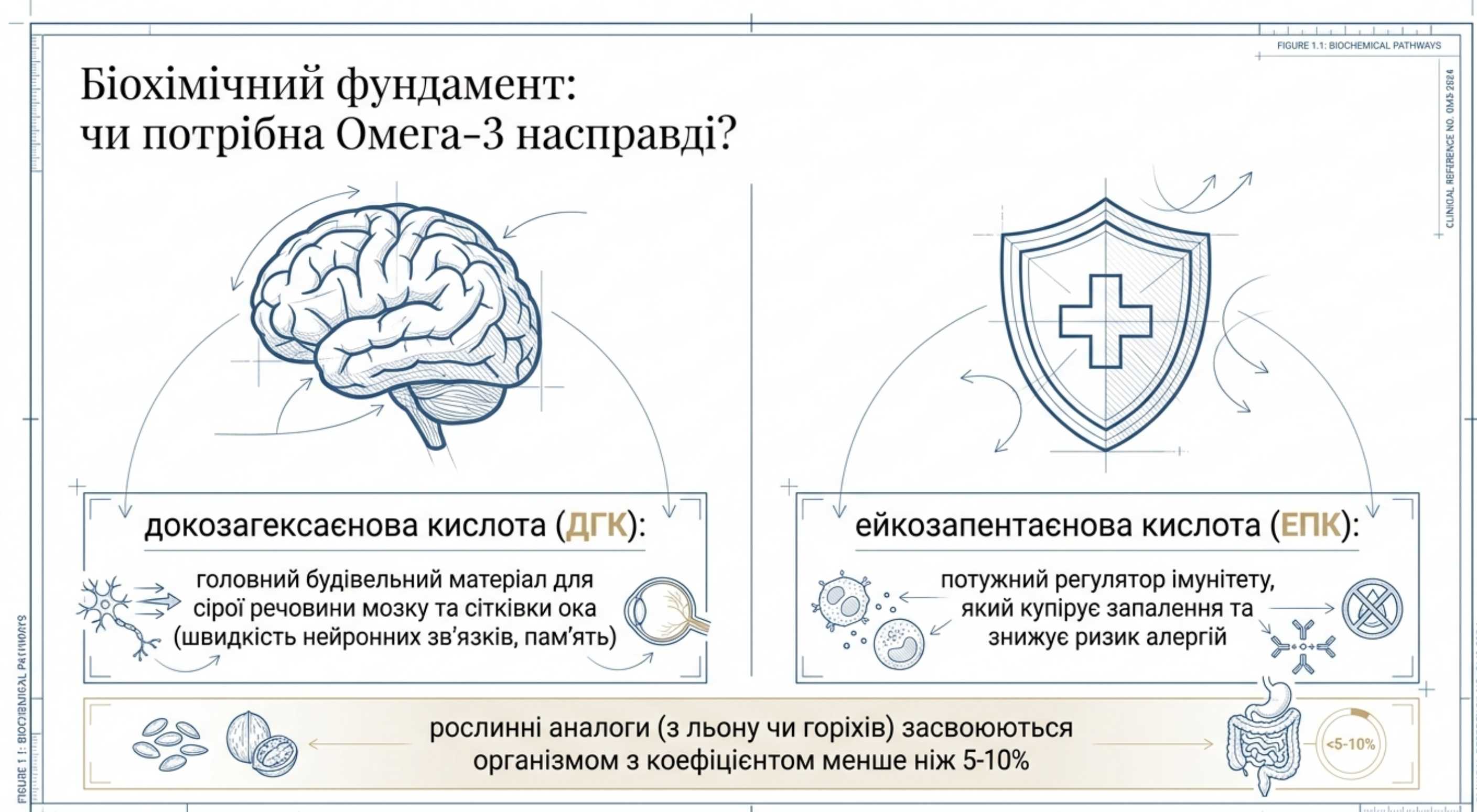 Біохімічний фундамент. Чи потрібно насправді омега 3 дітям?